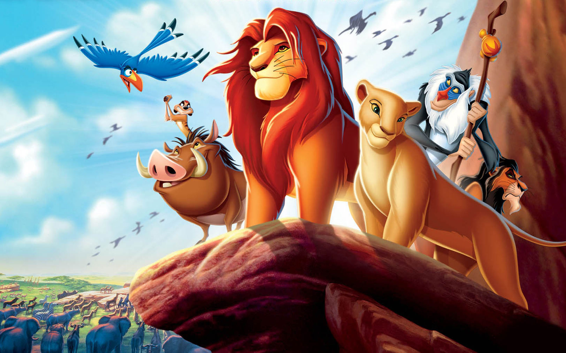 Cute the lion king HD wallpapers  Pxfuel