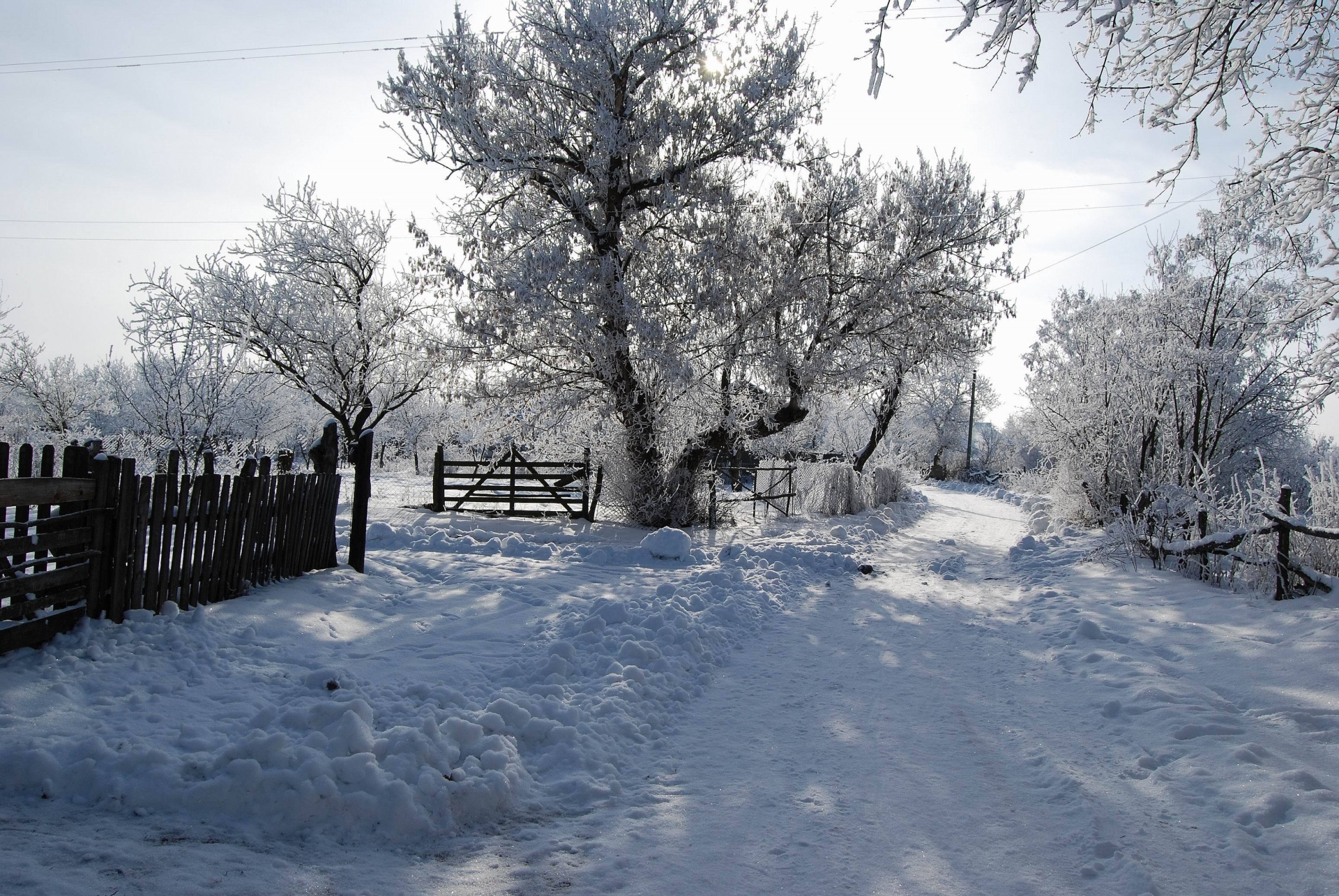 Снежная дорога в деревне