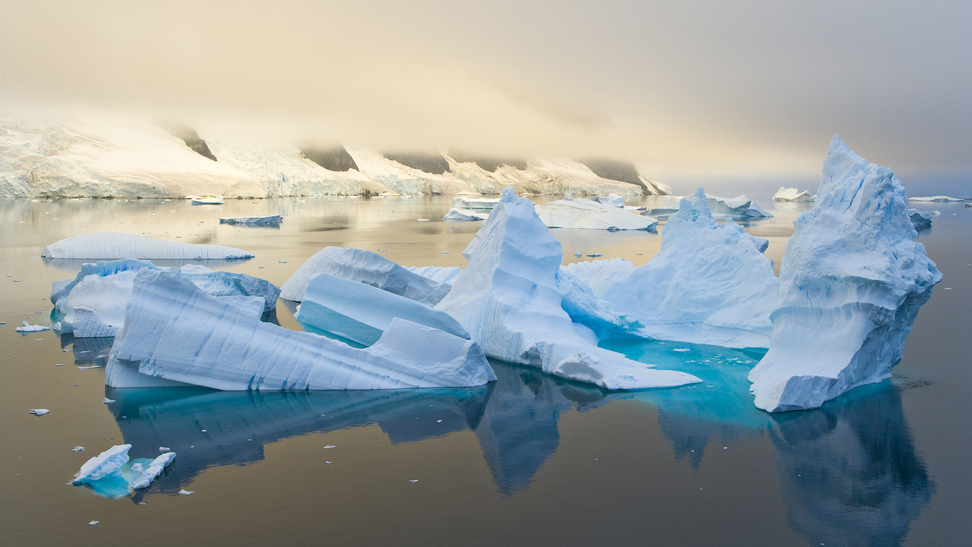 Арктика льды и айсберги