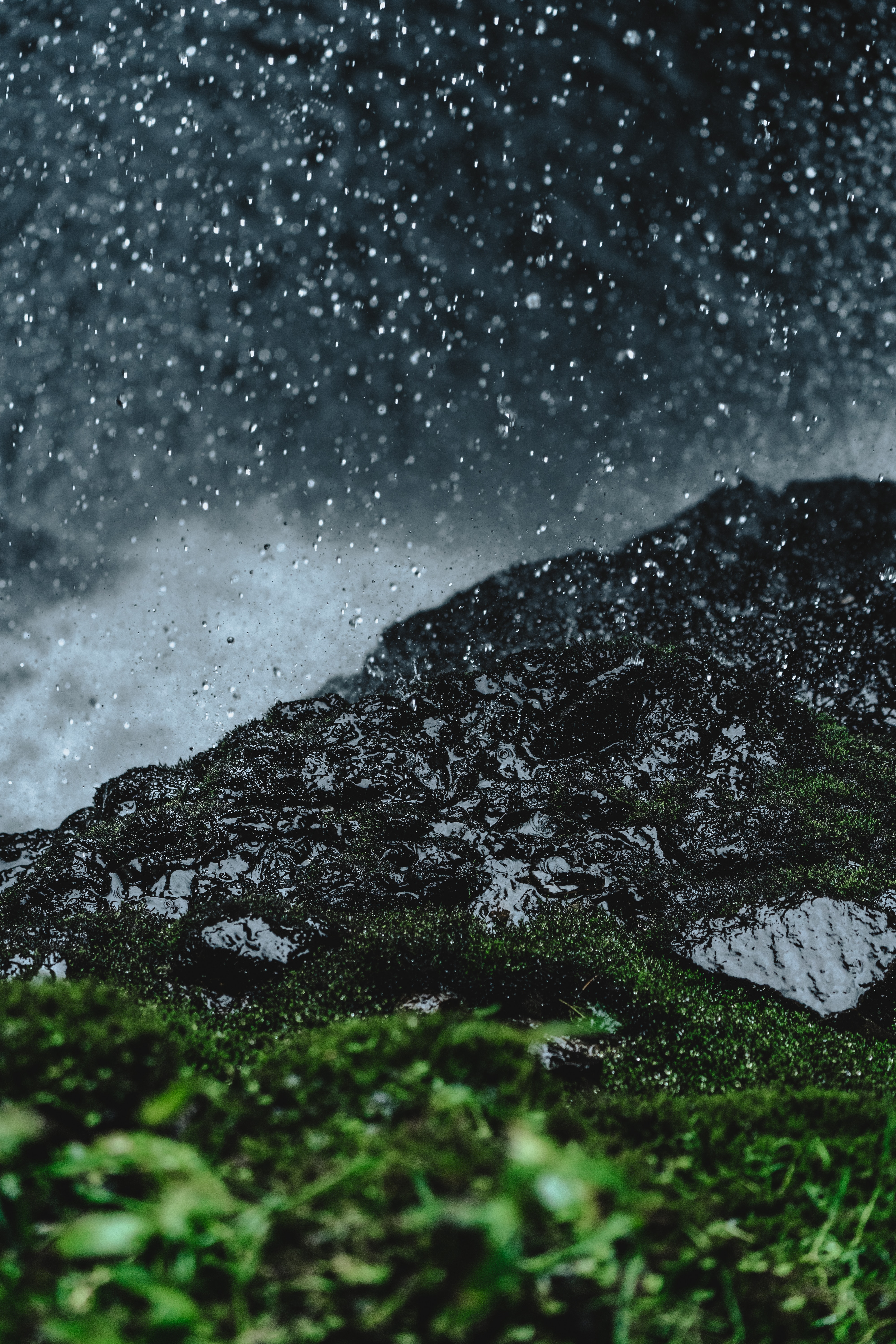 rain, earth, grass, drops, macro, land, moss phone background