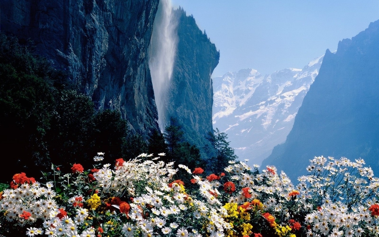 Handy-Wallpaper Mountains, Landschaft, Natur, Blumen, Pflanzen kostenlos herunterladen.