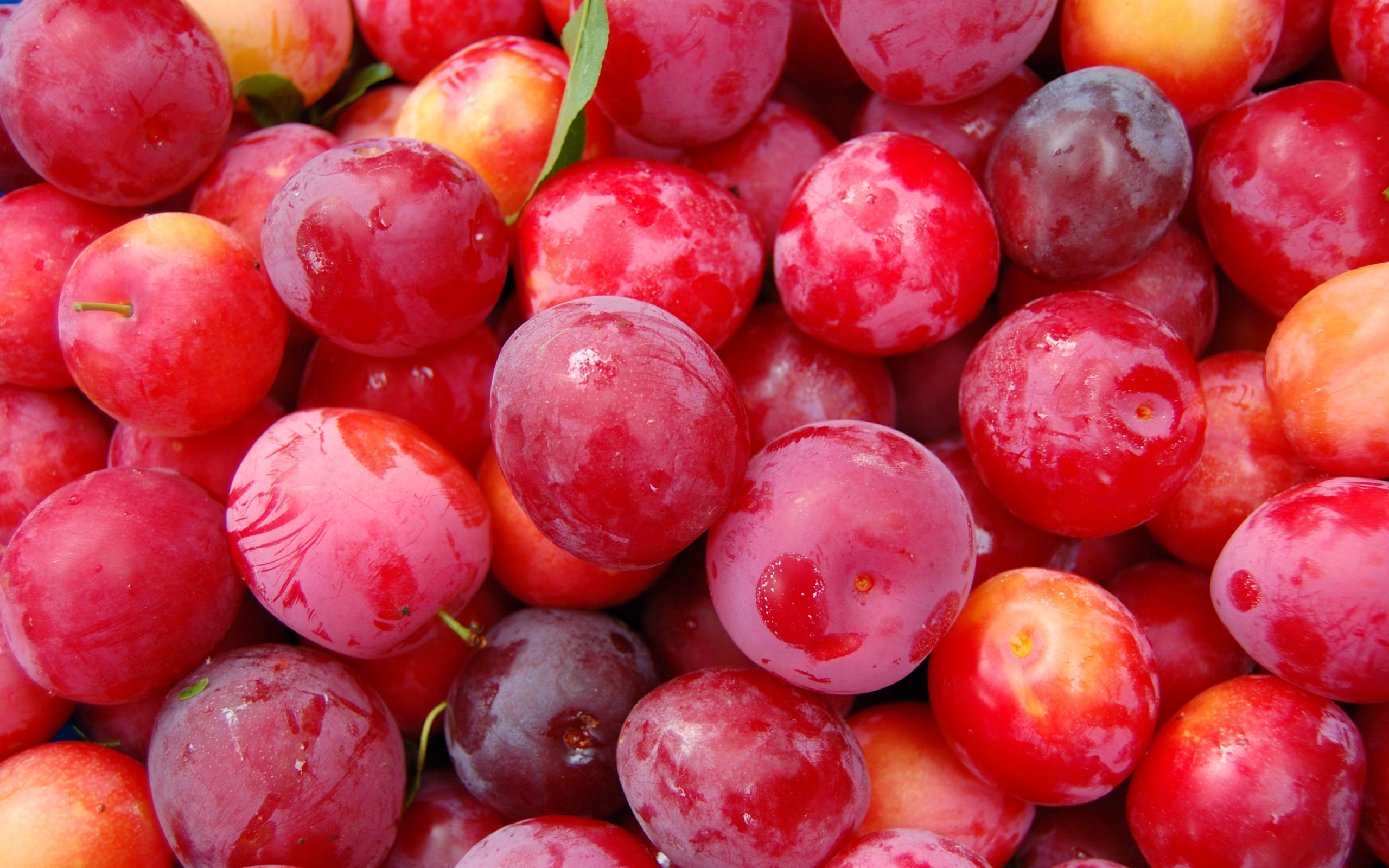 fruits, berries, food, background, plum, red Full HD