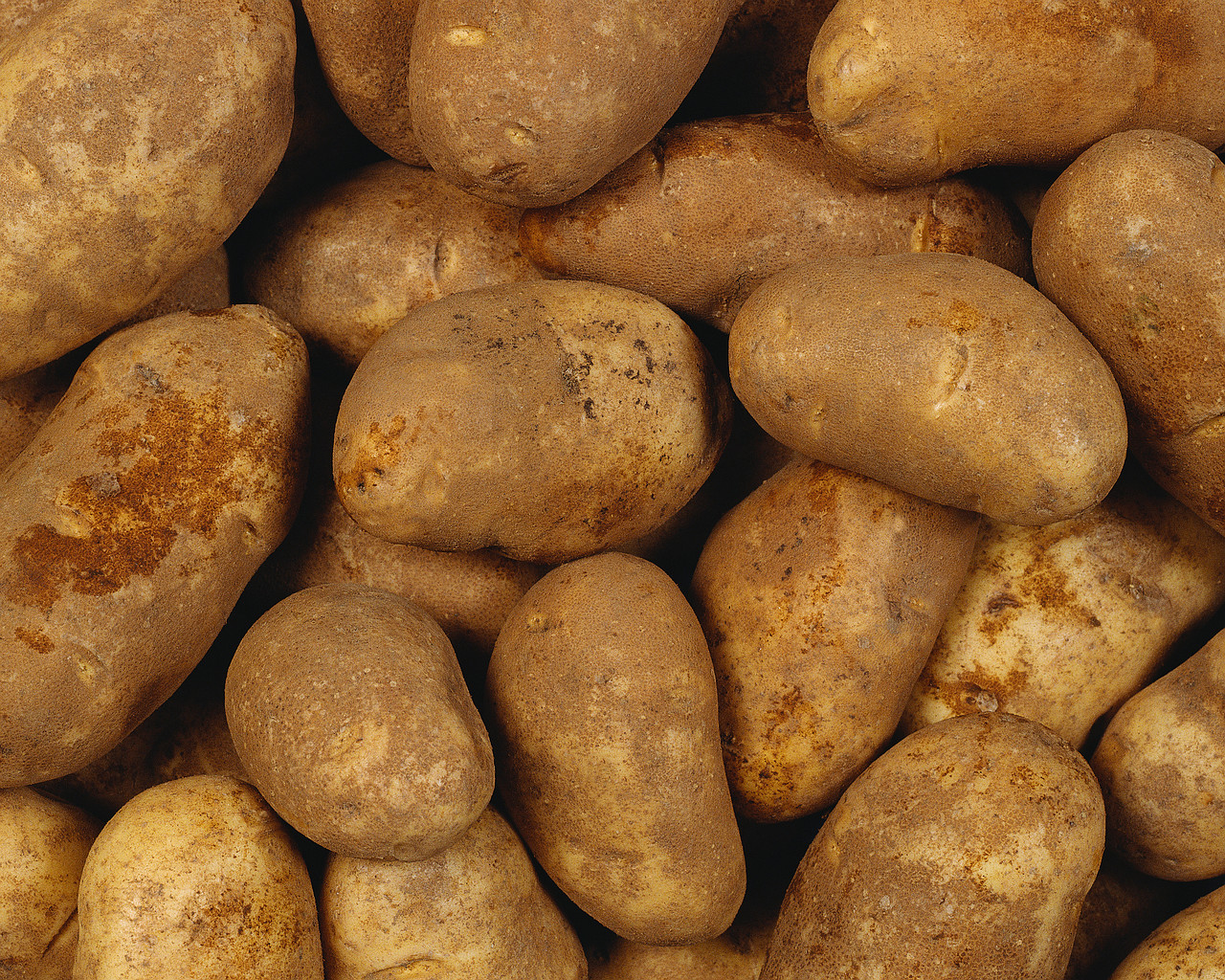 Popular Potato Image for Phone