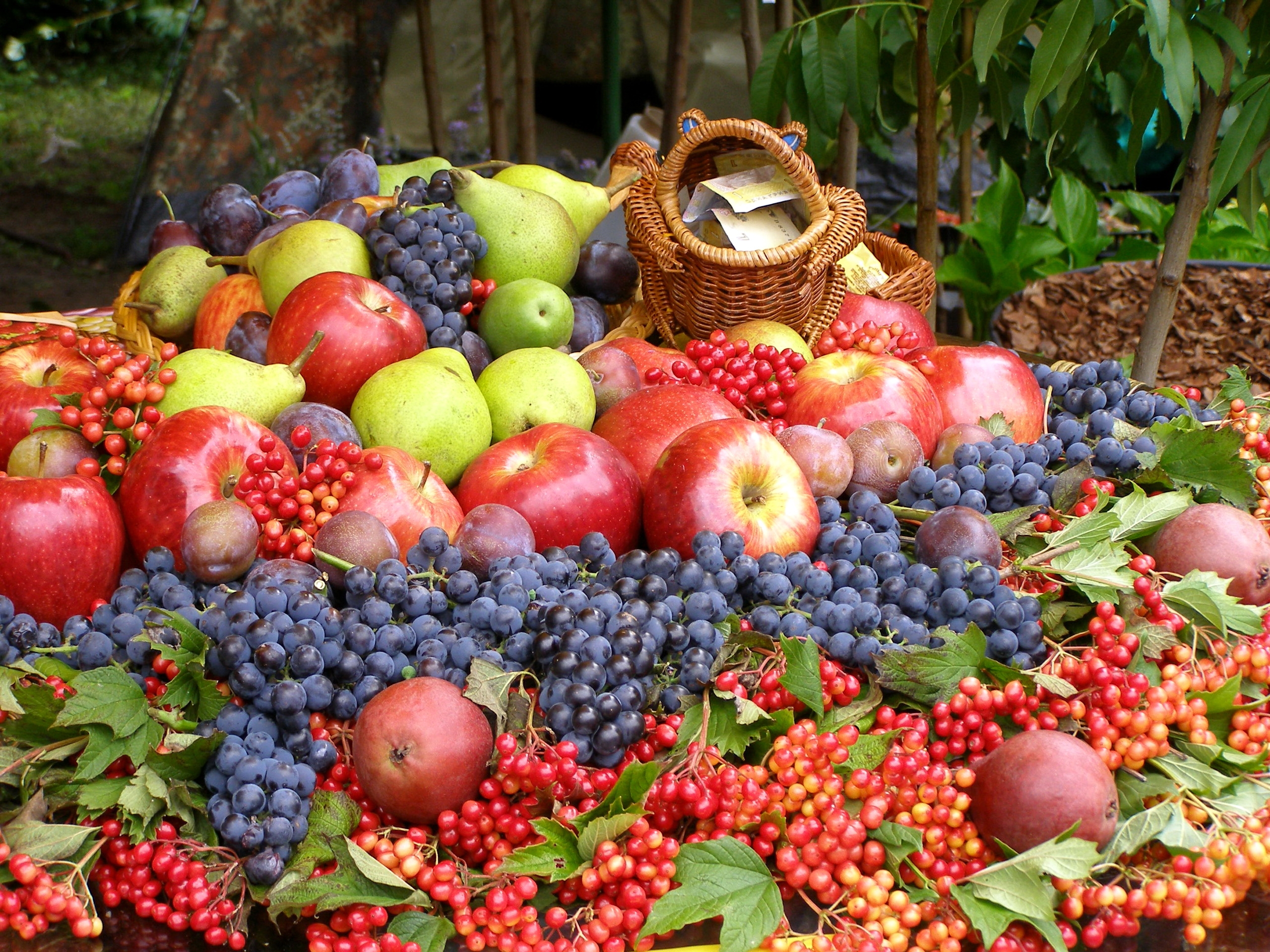 fruits, food, apples, grapes, lot 2160p
