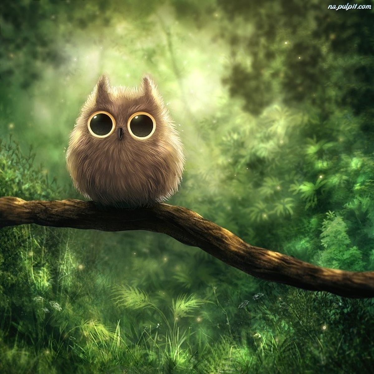 pictures, owl, birds, green for android