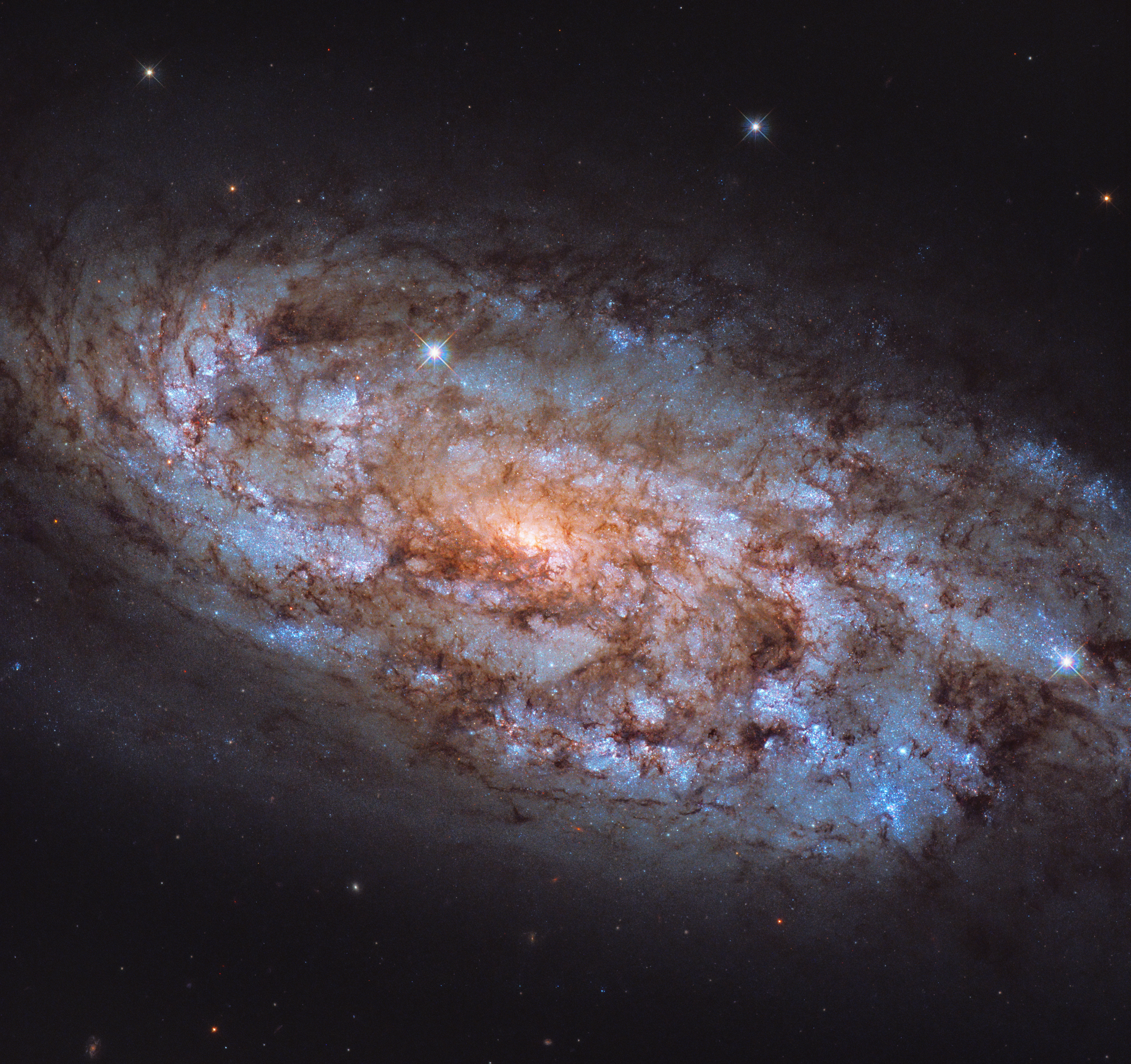 NGC 6822 (MIRI image) | ESA/Webb
