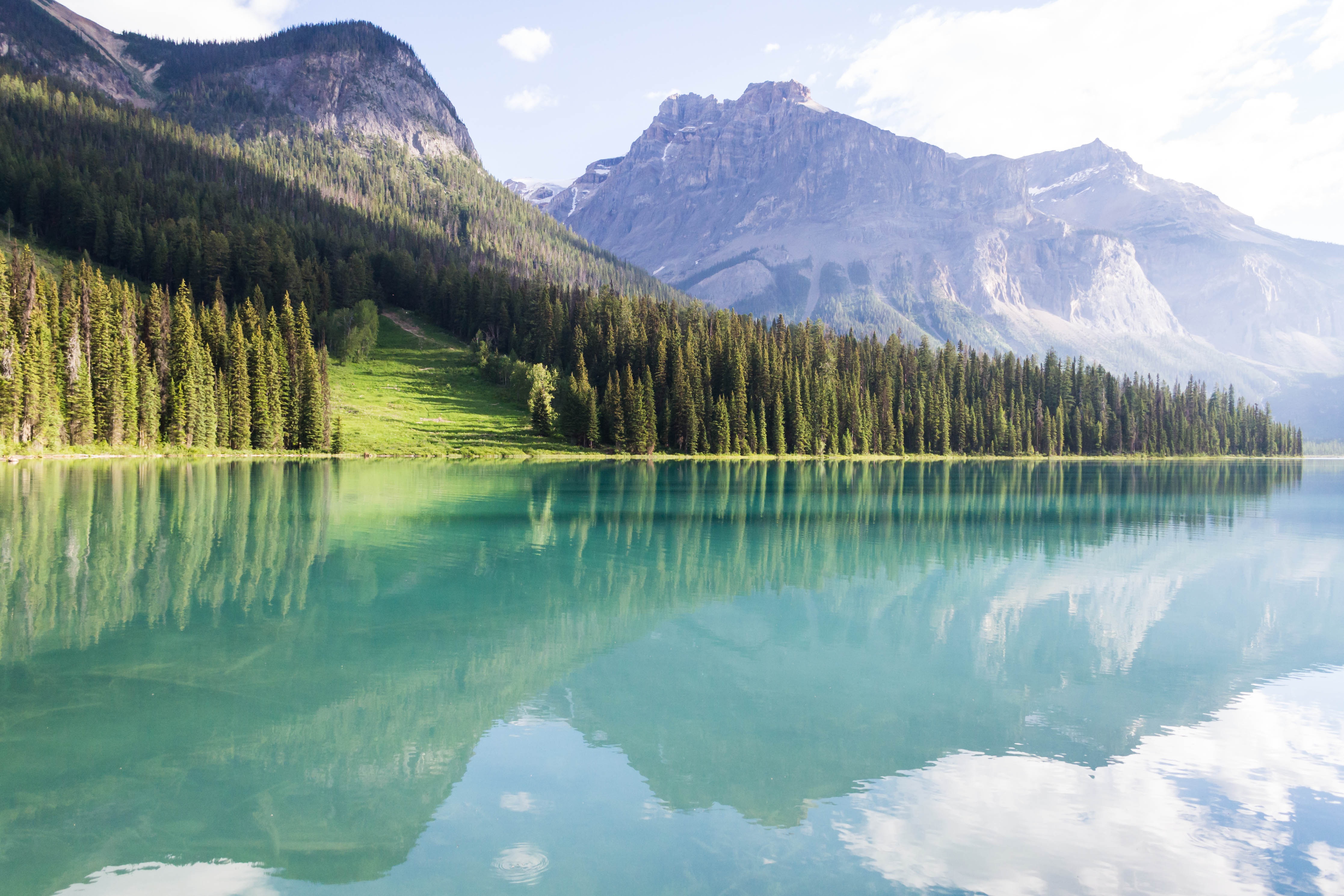 Download mobile wallpaper Peyto Lakes, Peito Lakes, Trees, Nature, Mountains, Landscape for free.