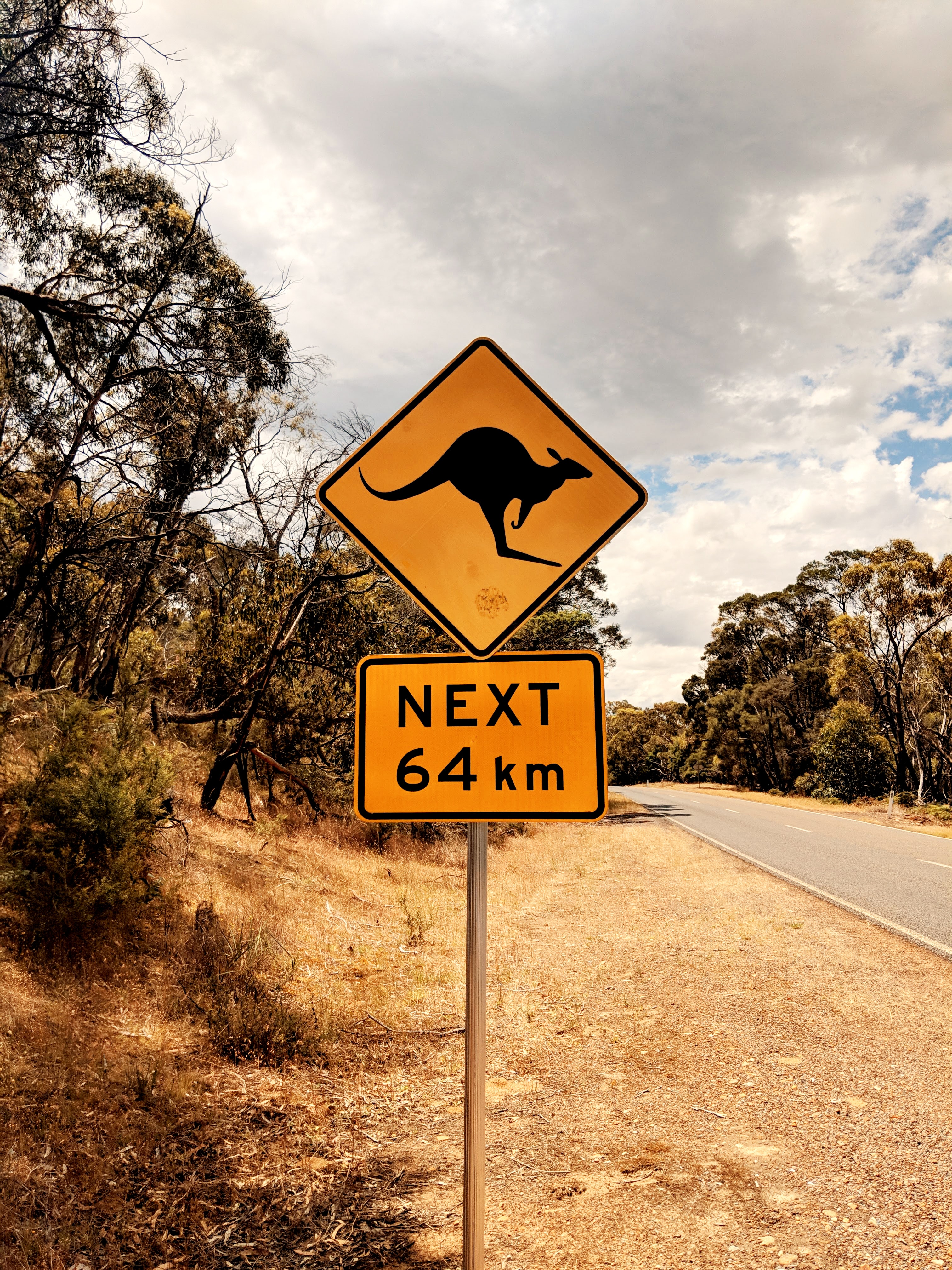 kangaroo, sign, words, road, inscription