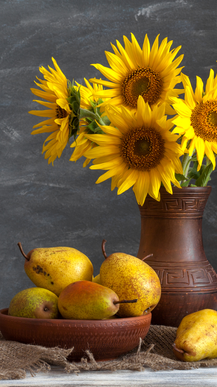 photography, still life, pear, yellow flower, sunflower, bowl, vase 2160p