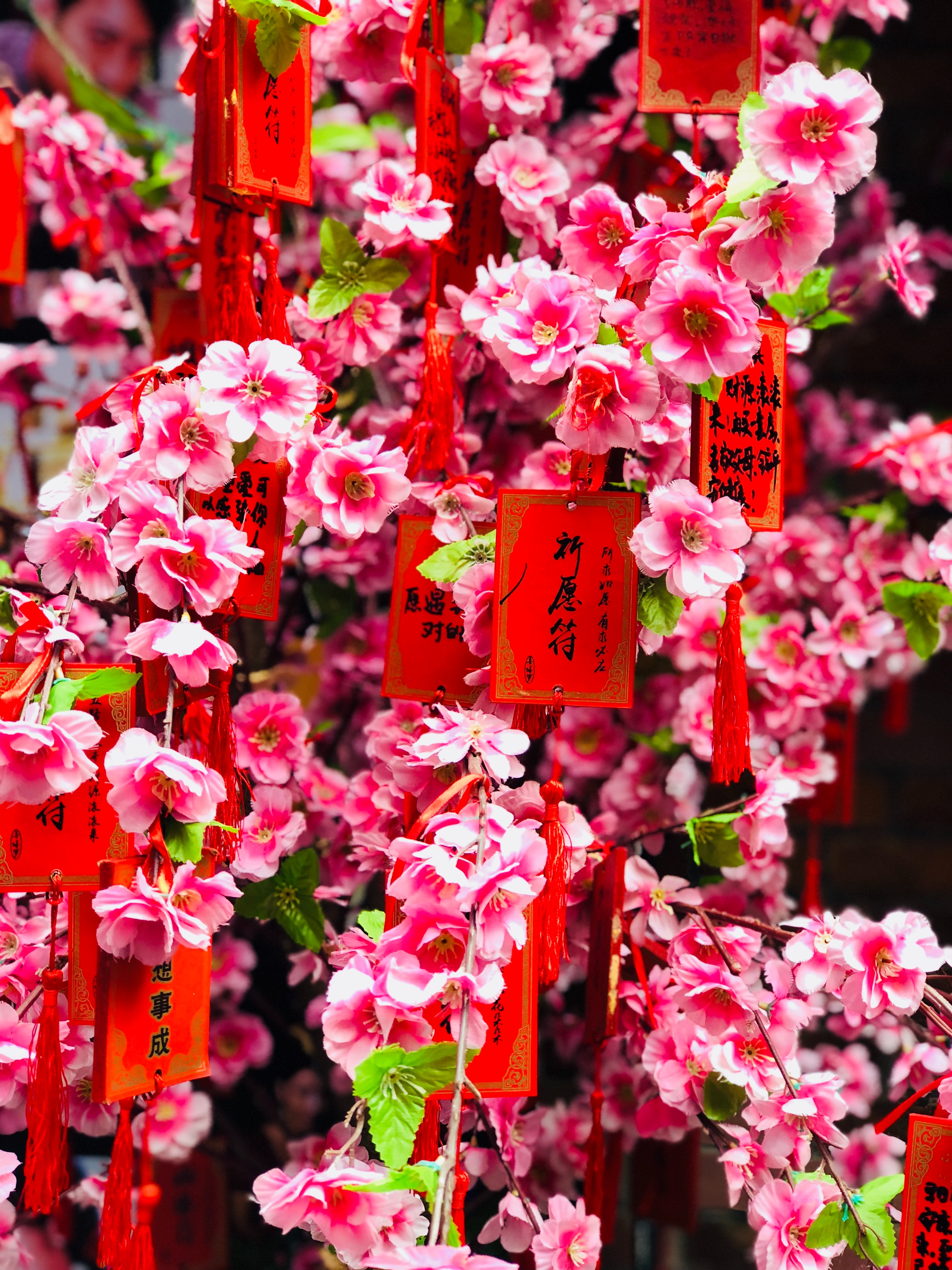 Free download wallpaper Flowers, Pink, Branches, Labels, Shortcuts on your PC desktop