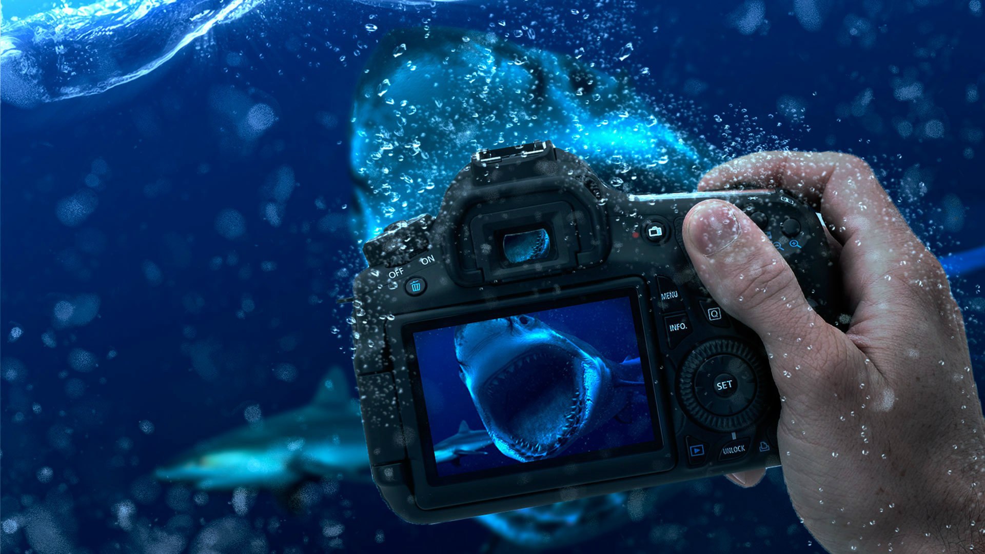 719828 скачать картинку акула, манипуляции, сделано человеком, камера, кисть, подводный - обои и заставки бесплатно