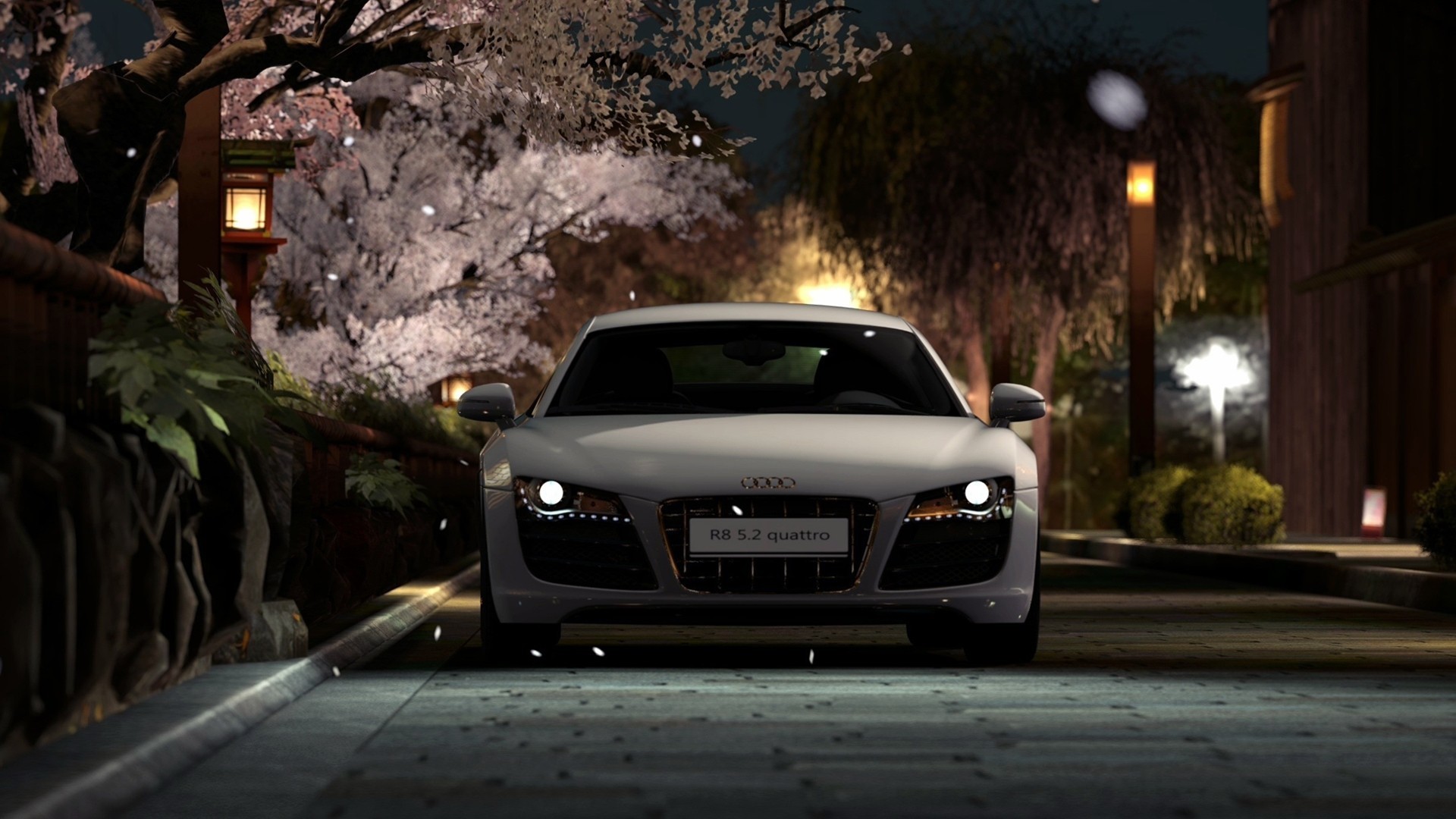 Audi Night Vision