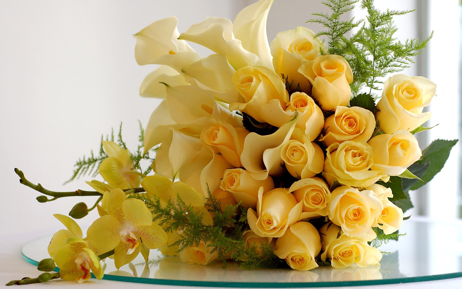 239832 завантажити шпалери роза, створено людиною, квітка, калла лілія, орхідея - заставки і картинки безкоштовно