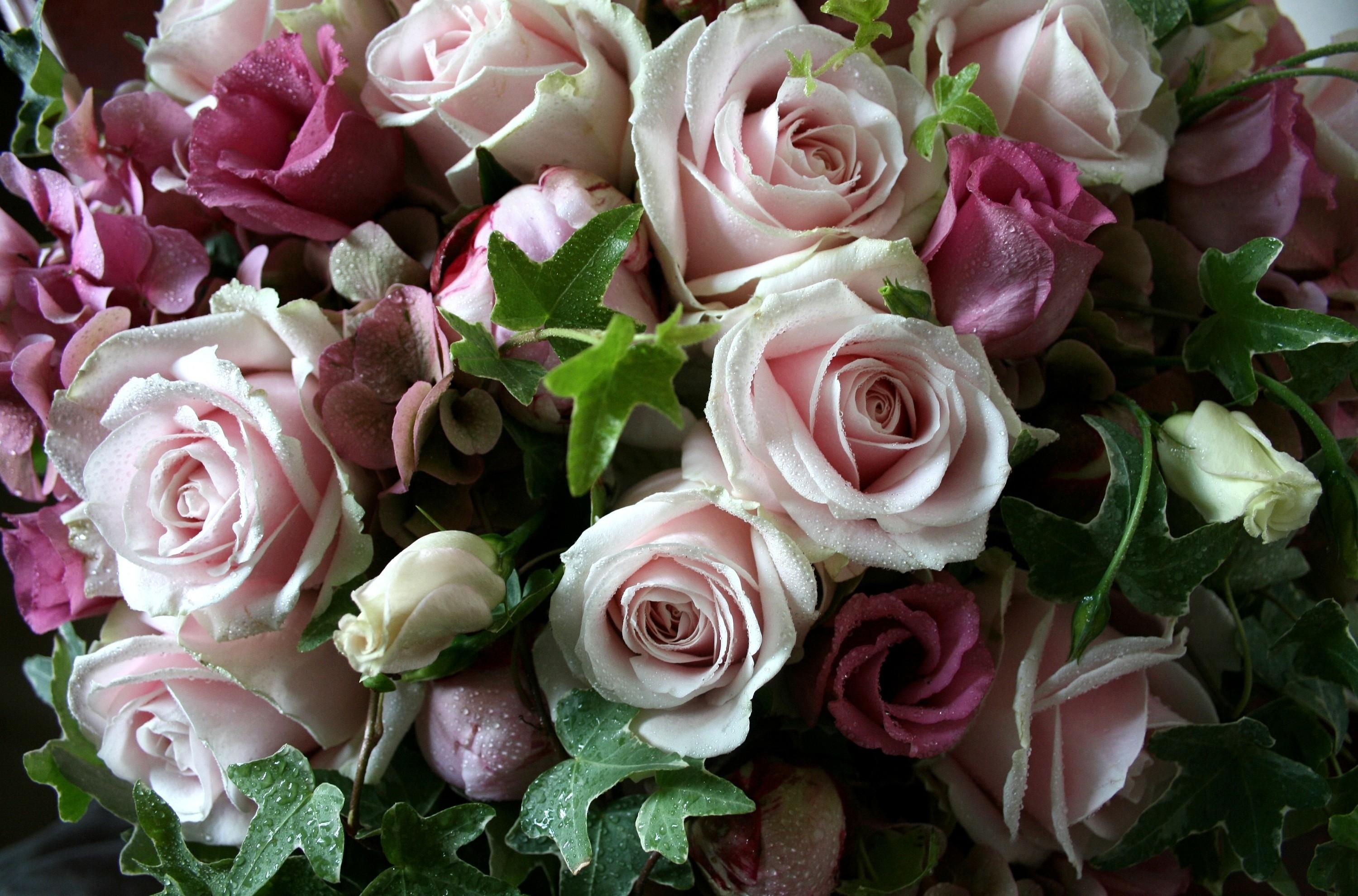 drops, leaves, flowers, roses, bouquet, freshness, lisianthus russell, lisiantus russell