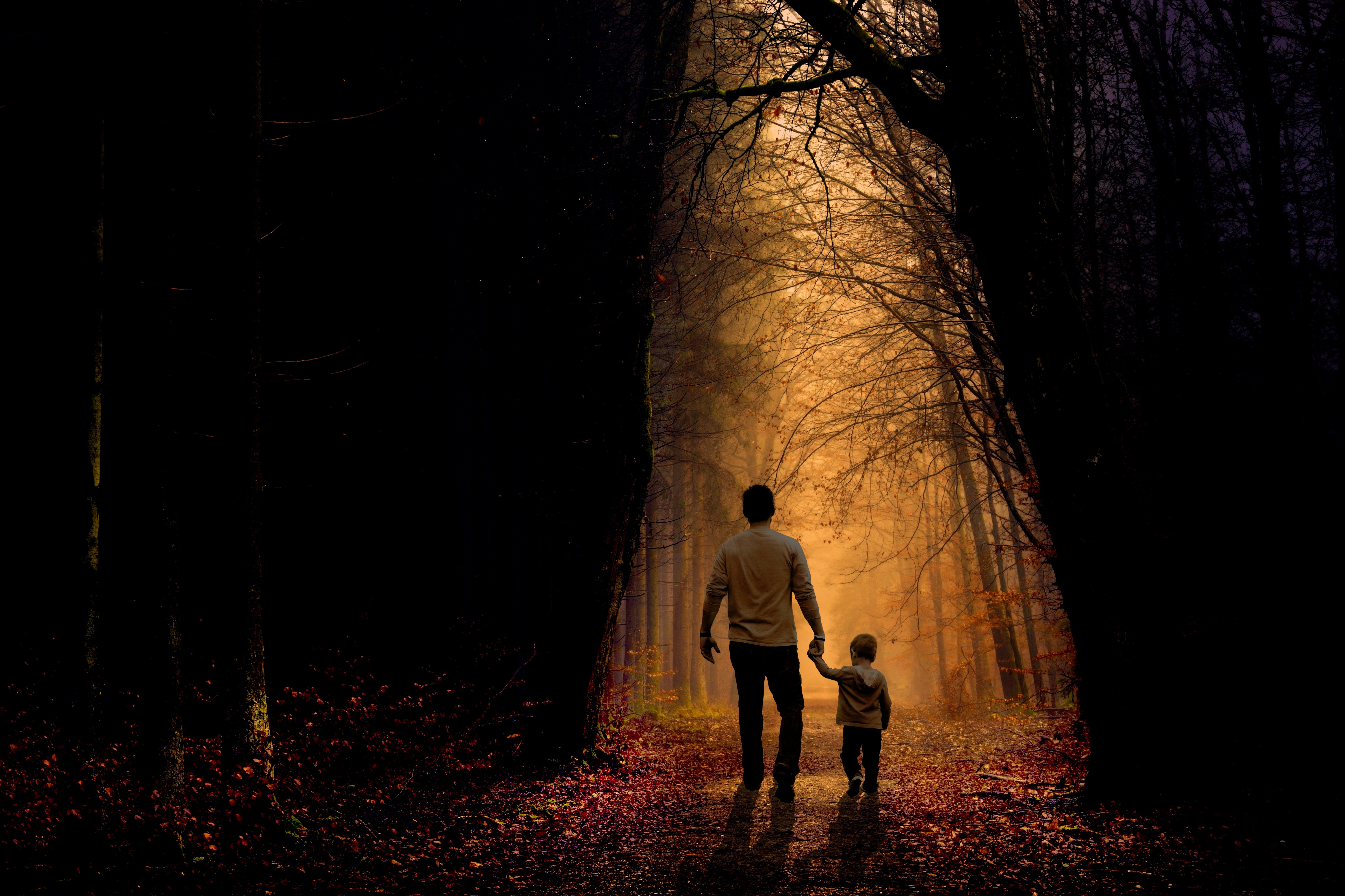 family, father, dark, forest, child, son