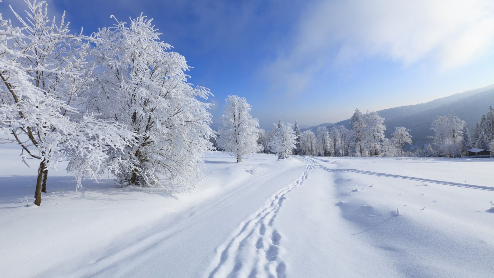 Download mobile wallpaper Winter, Trees, Snow, Landscape for free.