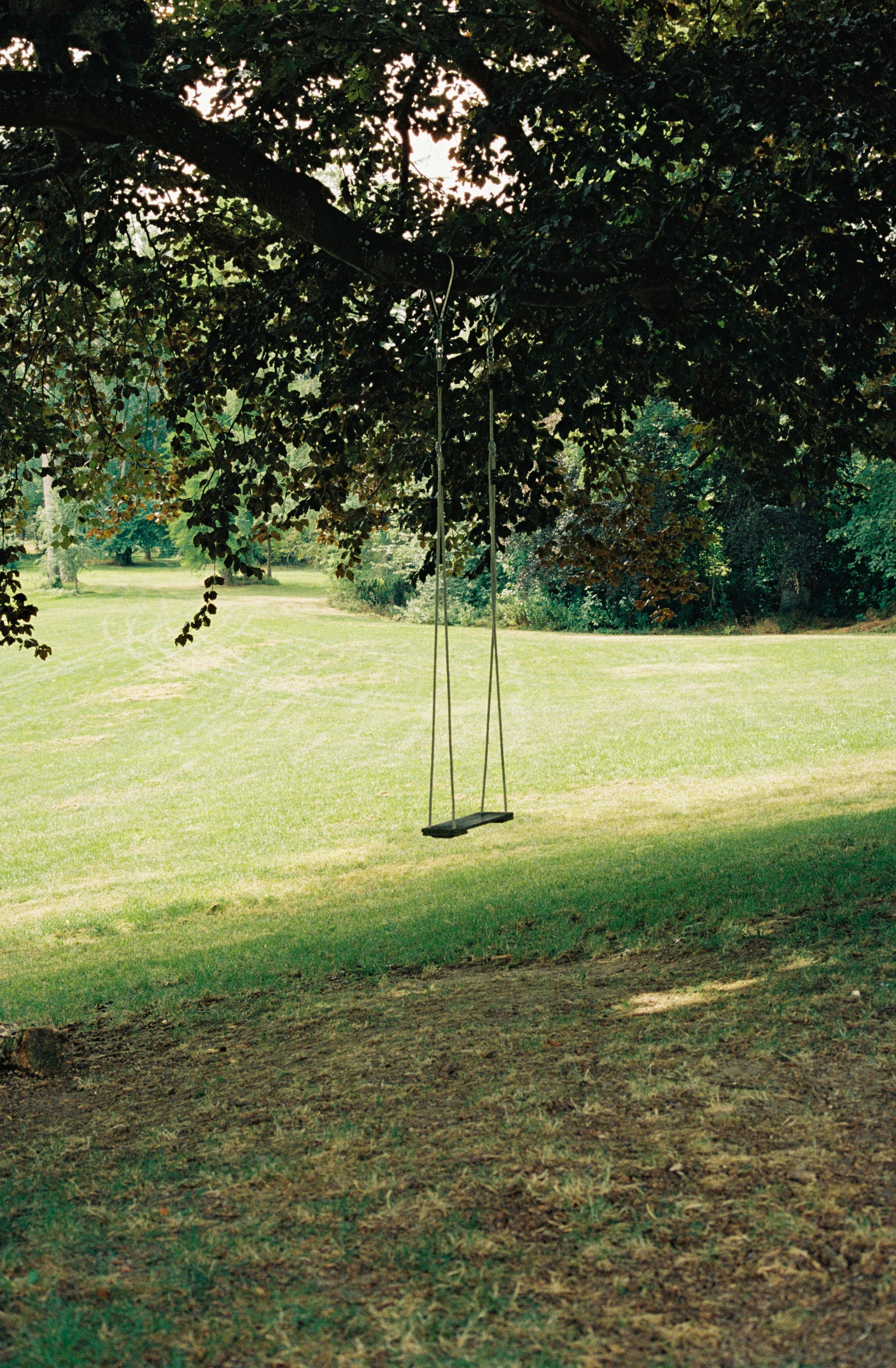 swing, grass, miscellanea, miscellaneous, wood, tree, greens, lawn