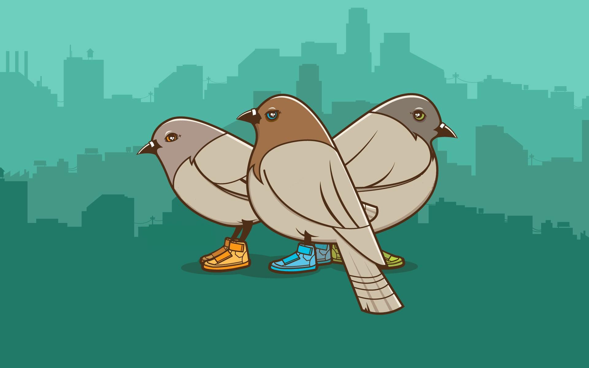 116201 télécharger le fond d'écran pigeons, oiseaux, vecteur, photo, dessin - économiseurs d'écran et images gratuitement