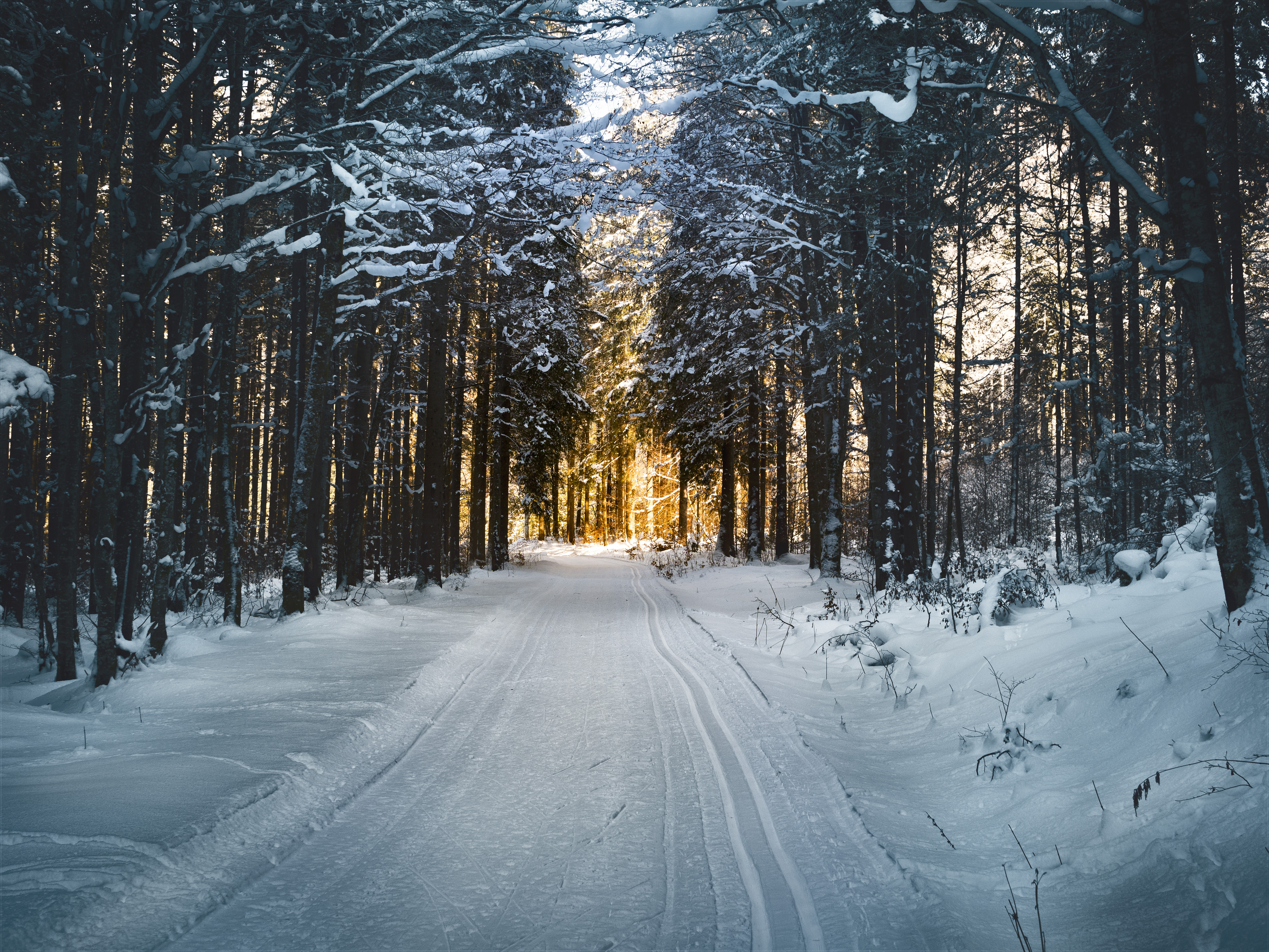 108376 Bild herunterladen straße, natur, winter, bäume, schnee - Hintergrundbilder und Bildschirmschoner kostenlos