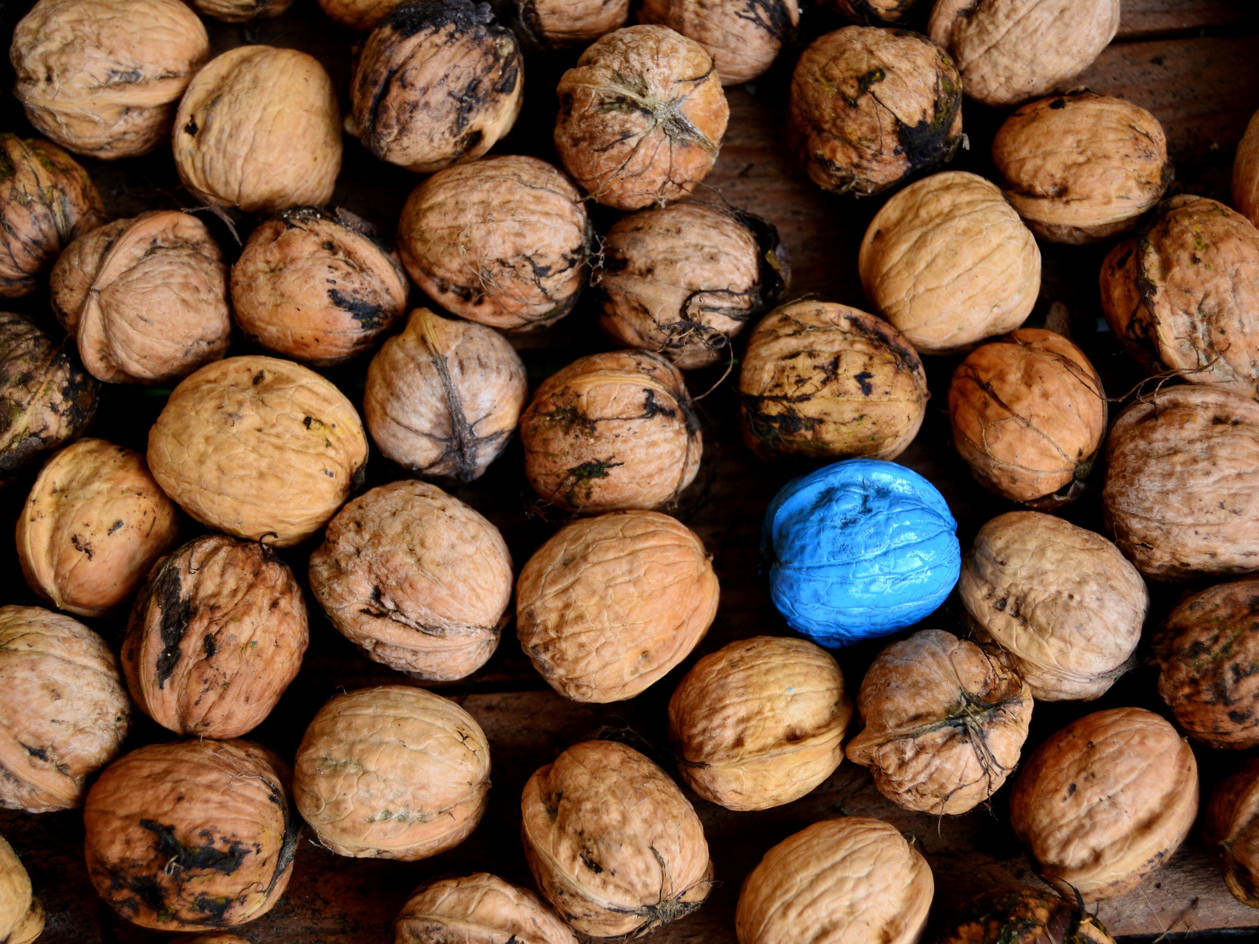 Free download wallpaper Walnuts, Shell, Food, Paint on your PC desktop