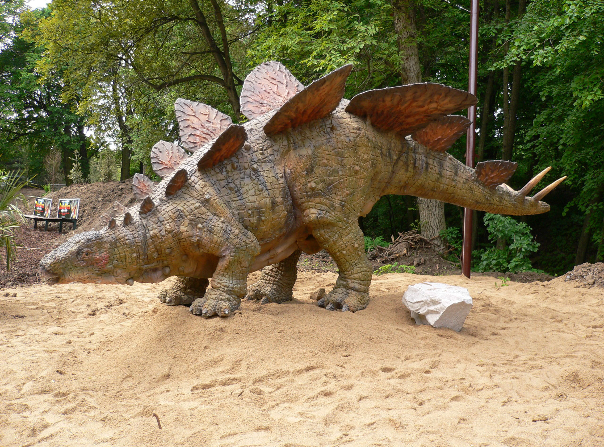 Laden Sie Stegosaurus HD-Desktop-Hintergründe herunter