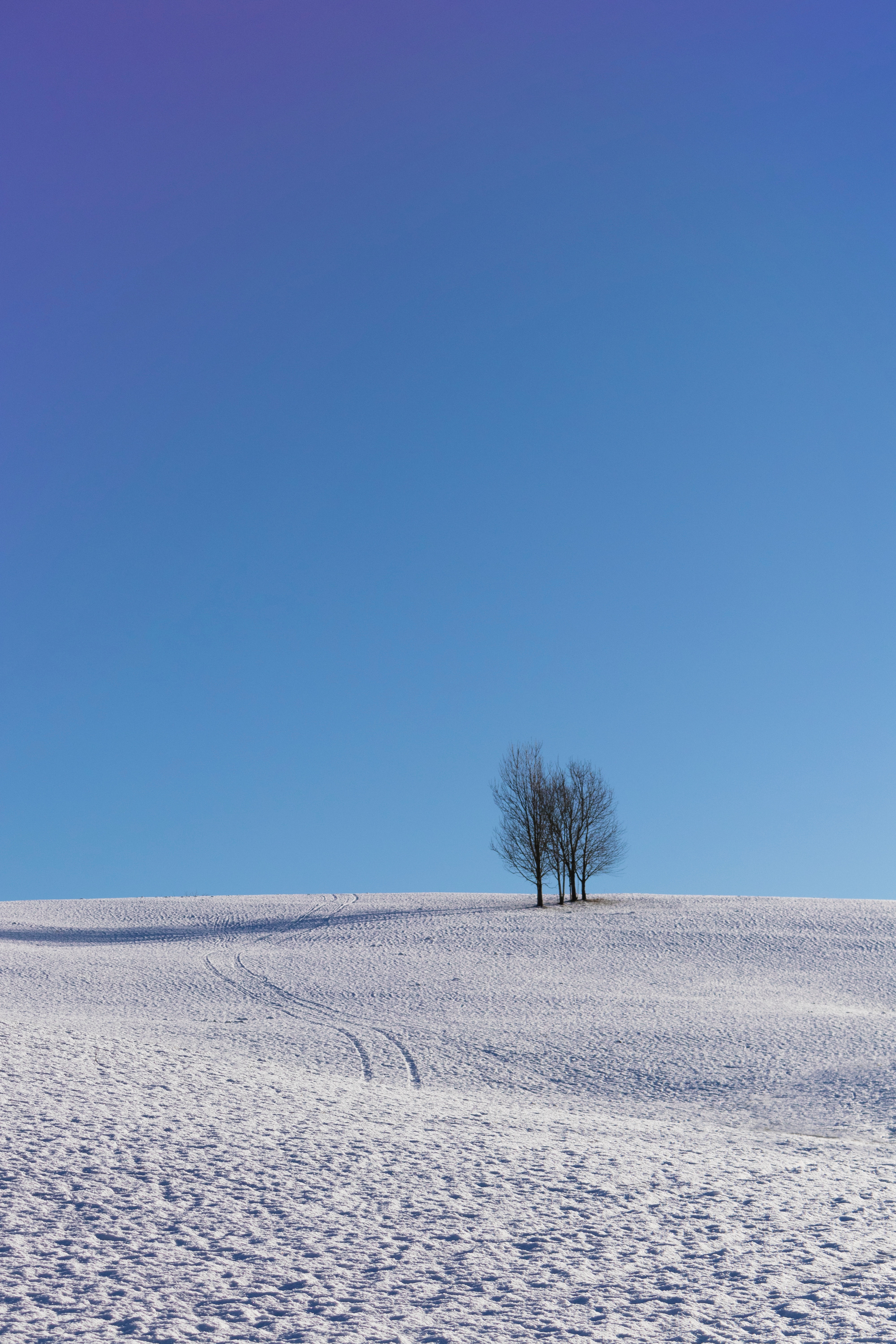 Download mobile wallpaper Sky, Trees, Horizon, Winter, Snow, Minimalism for free.