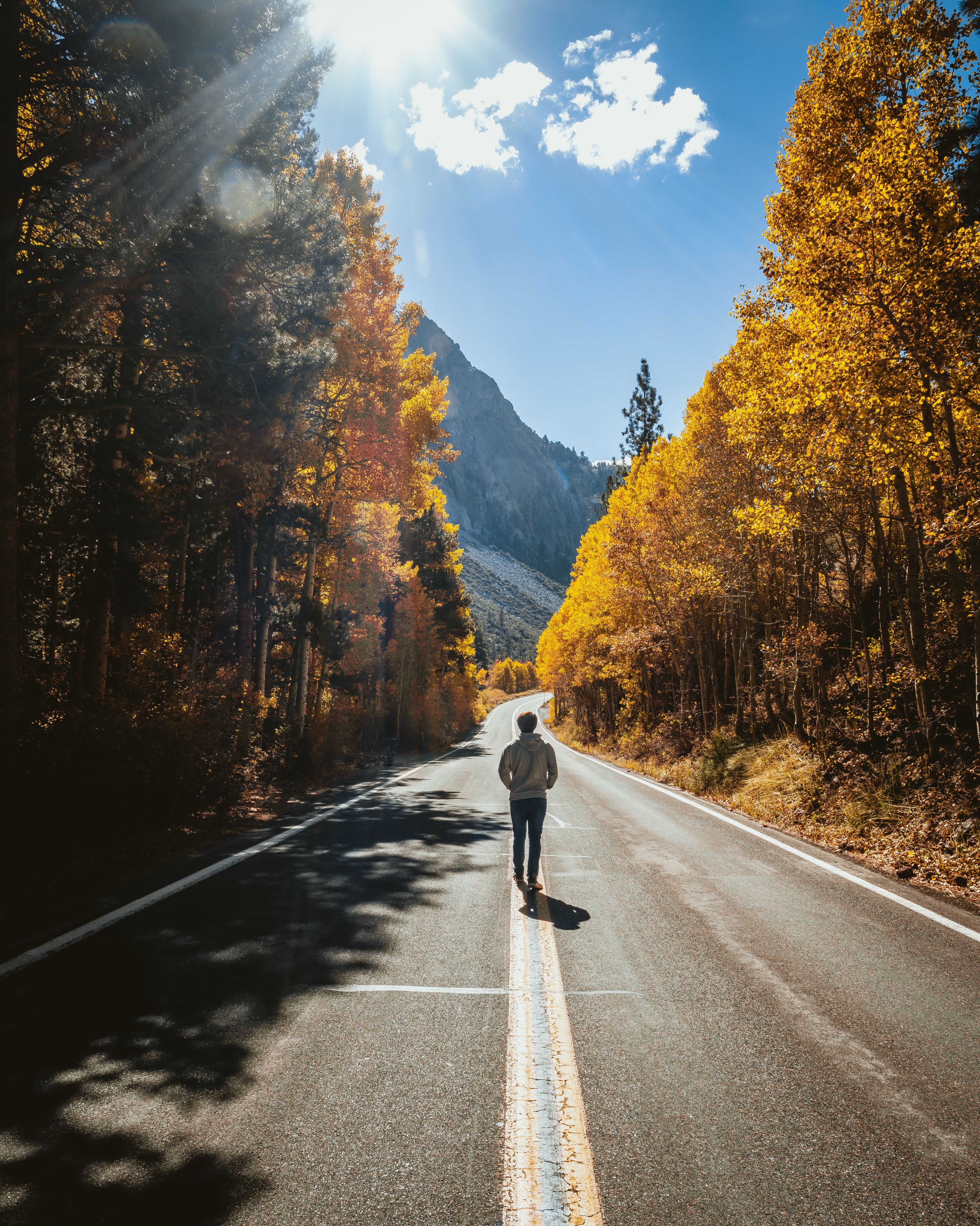 human, loneliness, autumn, nature, road, stroll, person, sunlight HD wallpaper