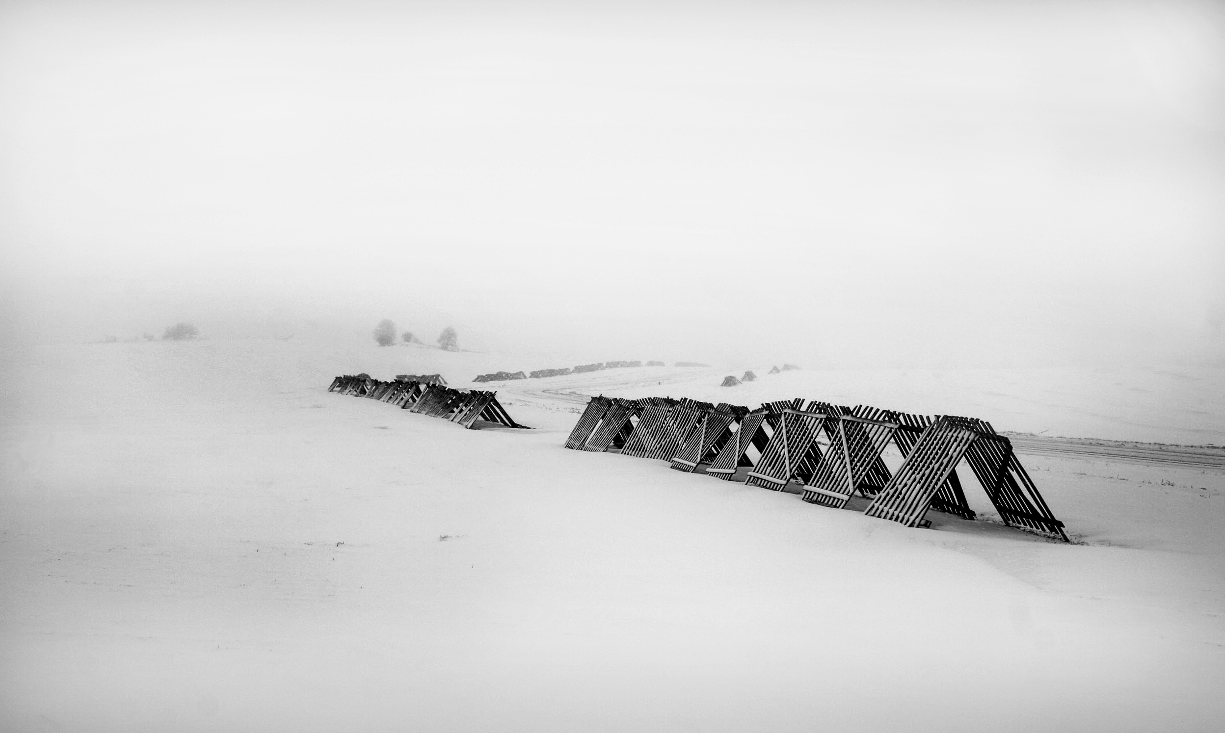 cold, photography, winter, black & white