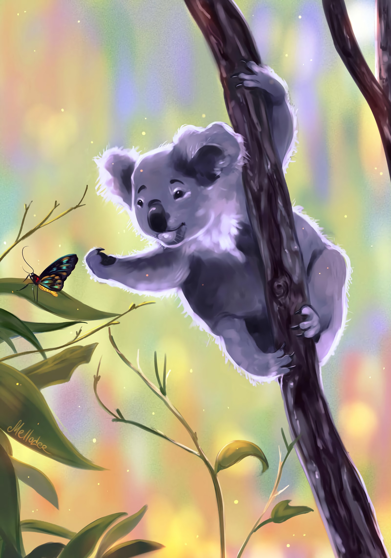 114356 завантажити картинку коала, арт, гілки, відділень, метелик, дотик, доторкнутися - шпалери і заставки безкоштовно