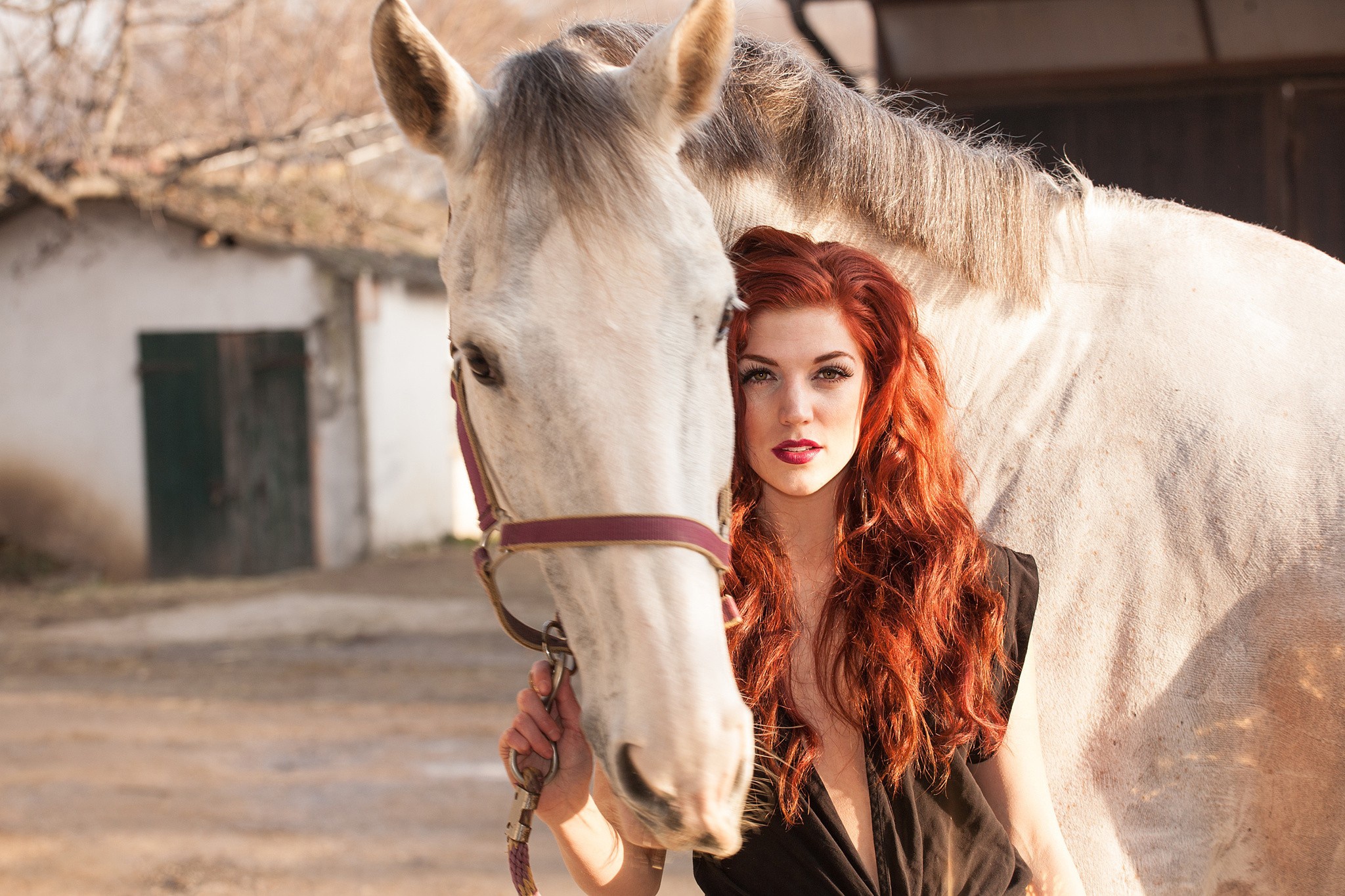 Рыжая девушка и лошадь