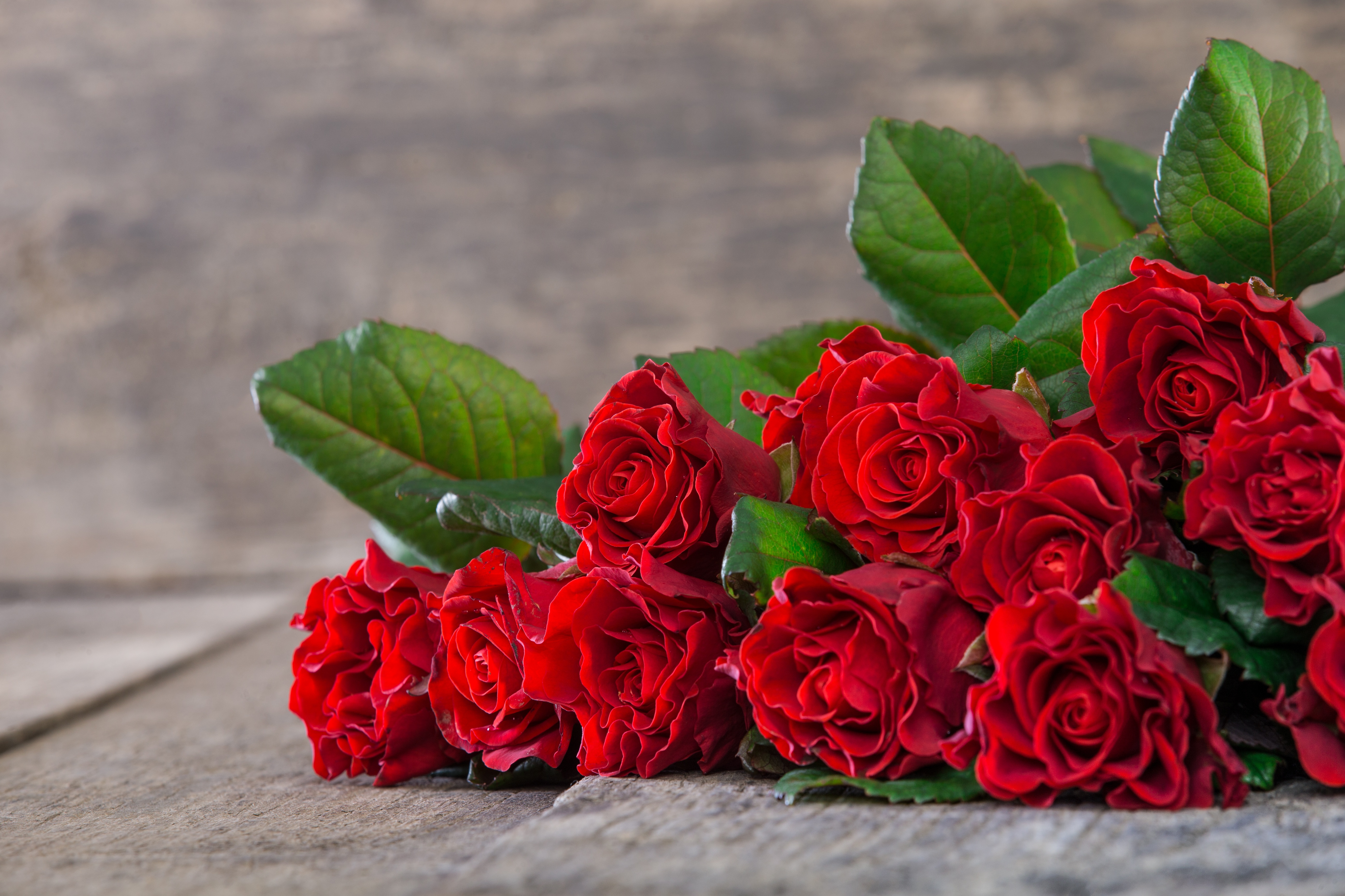 Букет красных роз на столе