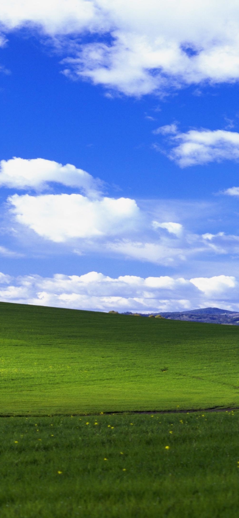 Download mobile wallpaper Landscape, Windows, Microsoft, Technology, Windows Xp for free.