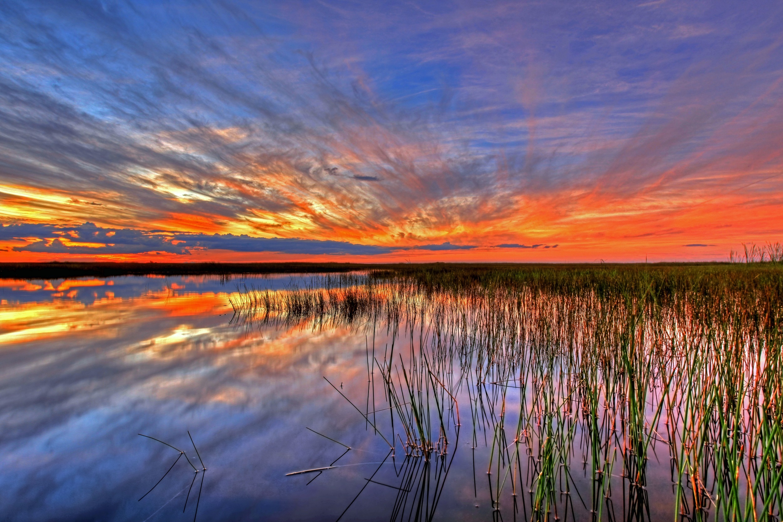 無料モバイル壁紙自然, 沼地, 米国, フロリダ, エバーグレーズをダウンロードします。