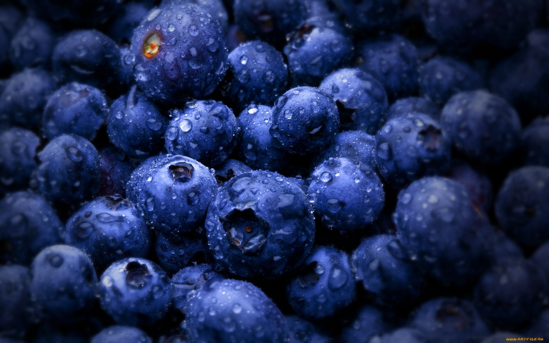 food, blueberry lock screen backgrounds