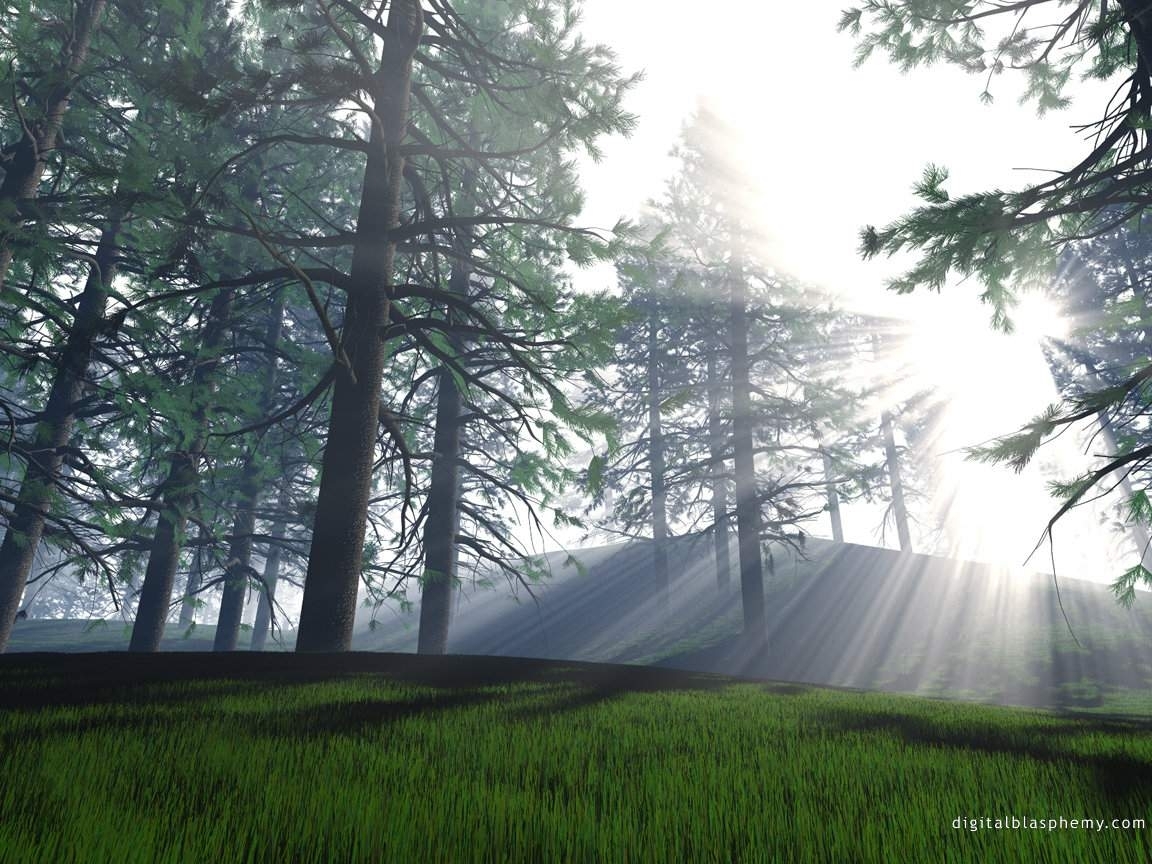 Download mobile wallpaper Trees, Sun, Landscape for free.
