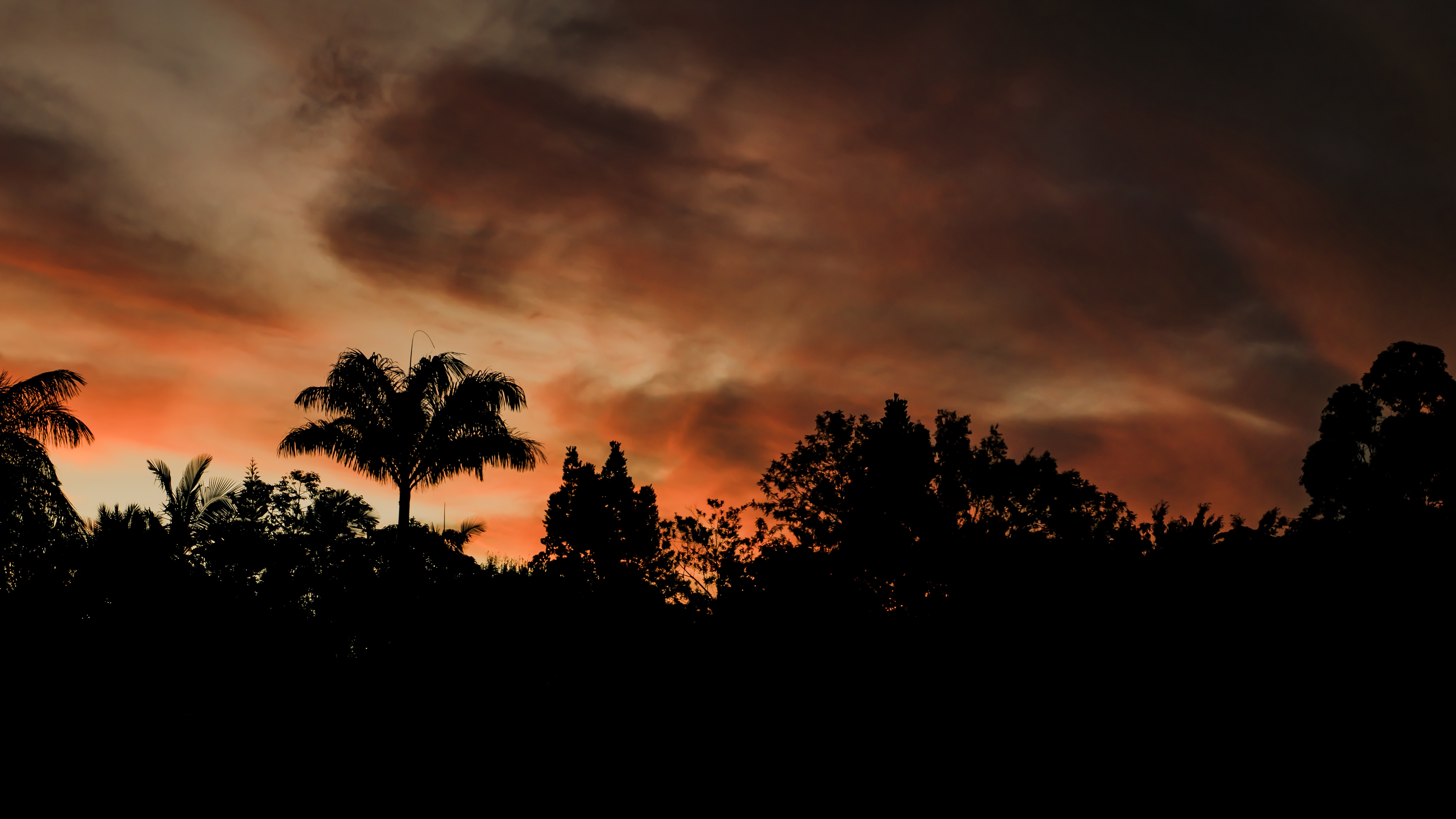 Handy-Wallpaper Clouds, Umreißt, Abend, Bäume, Umrisse, Sunset, Dunkel kostenlos herunterladen.