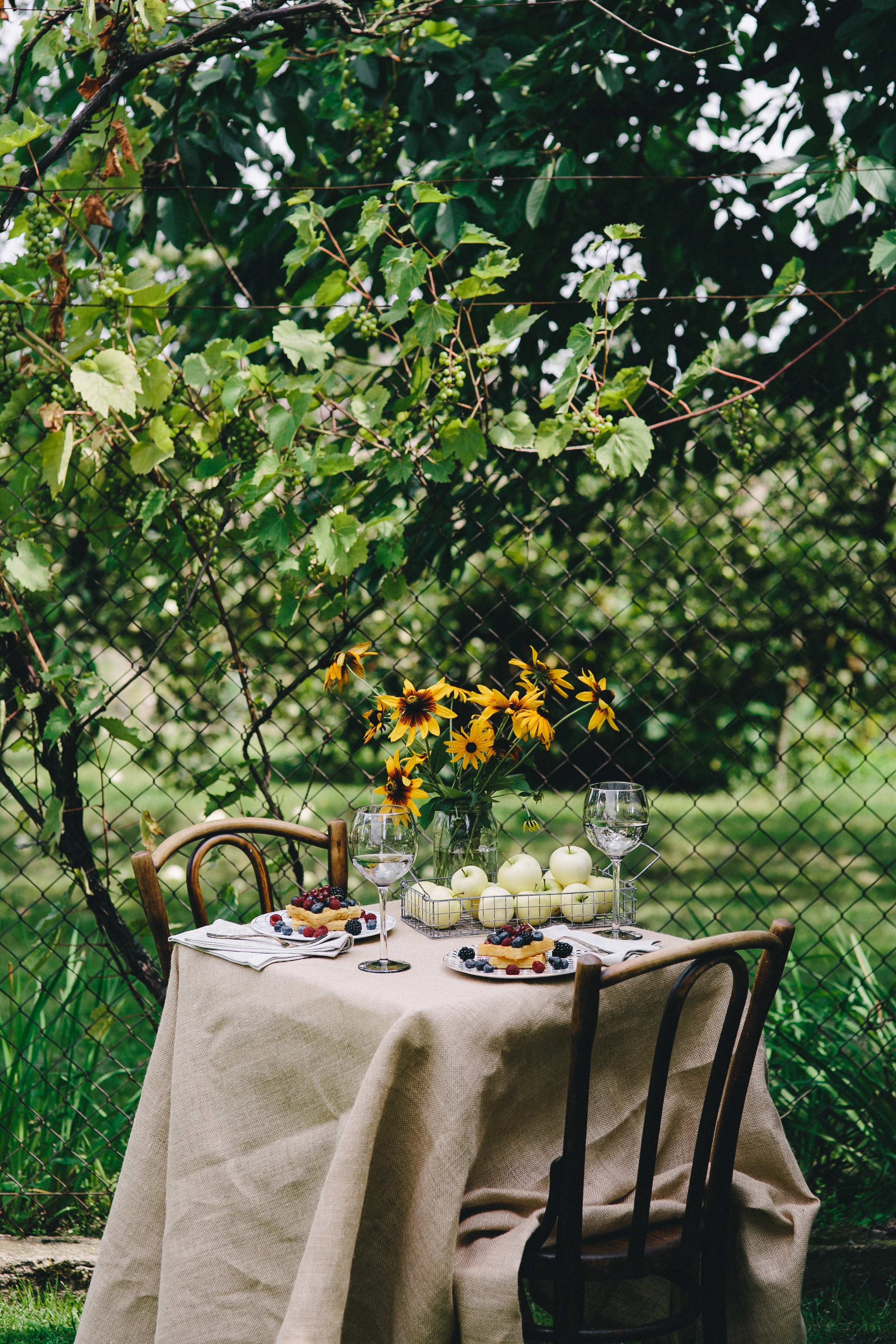 picnic, nature, food, summer, table, serving, breakfast