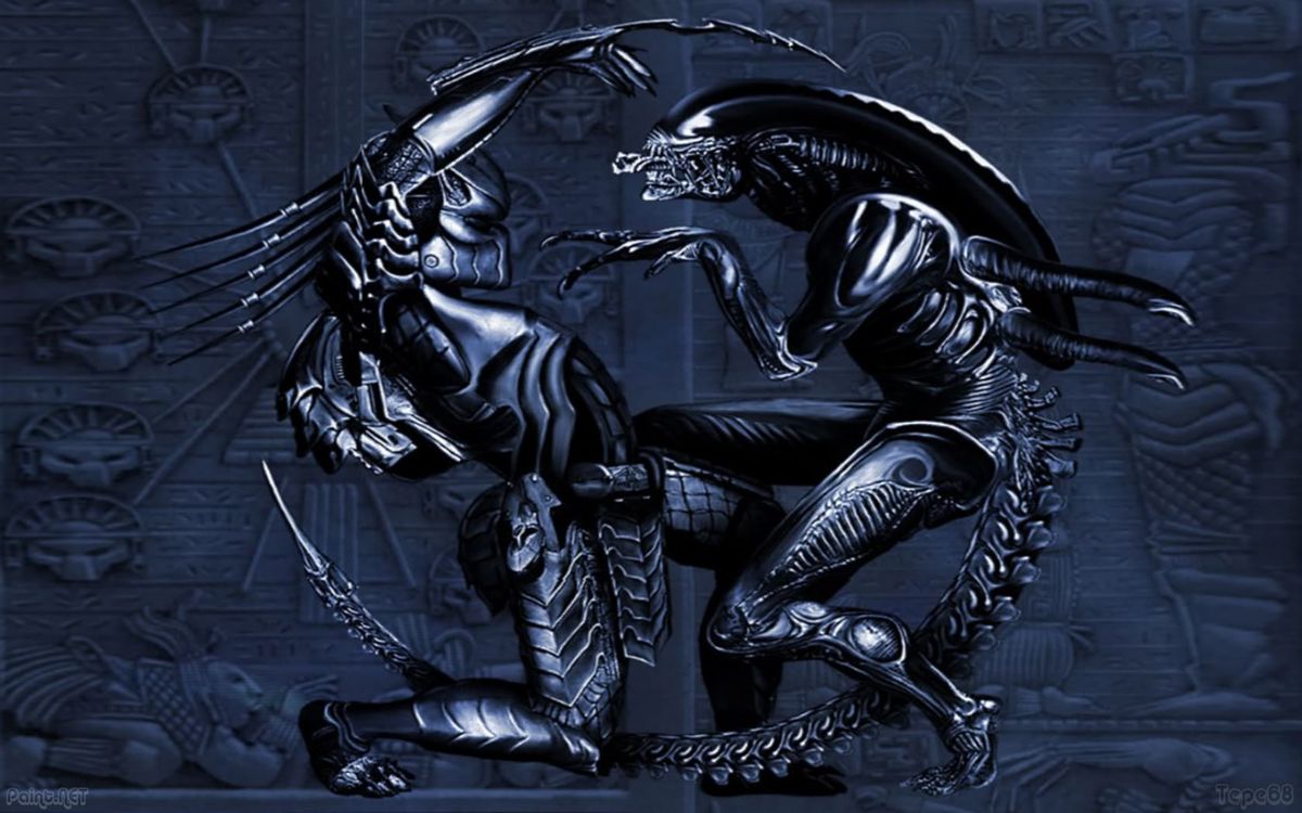 Alien vs predator картинки