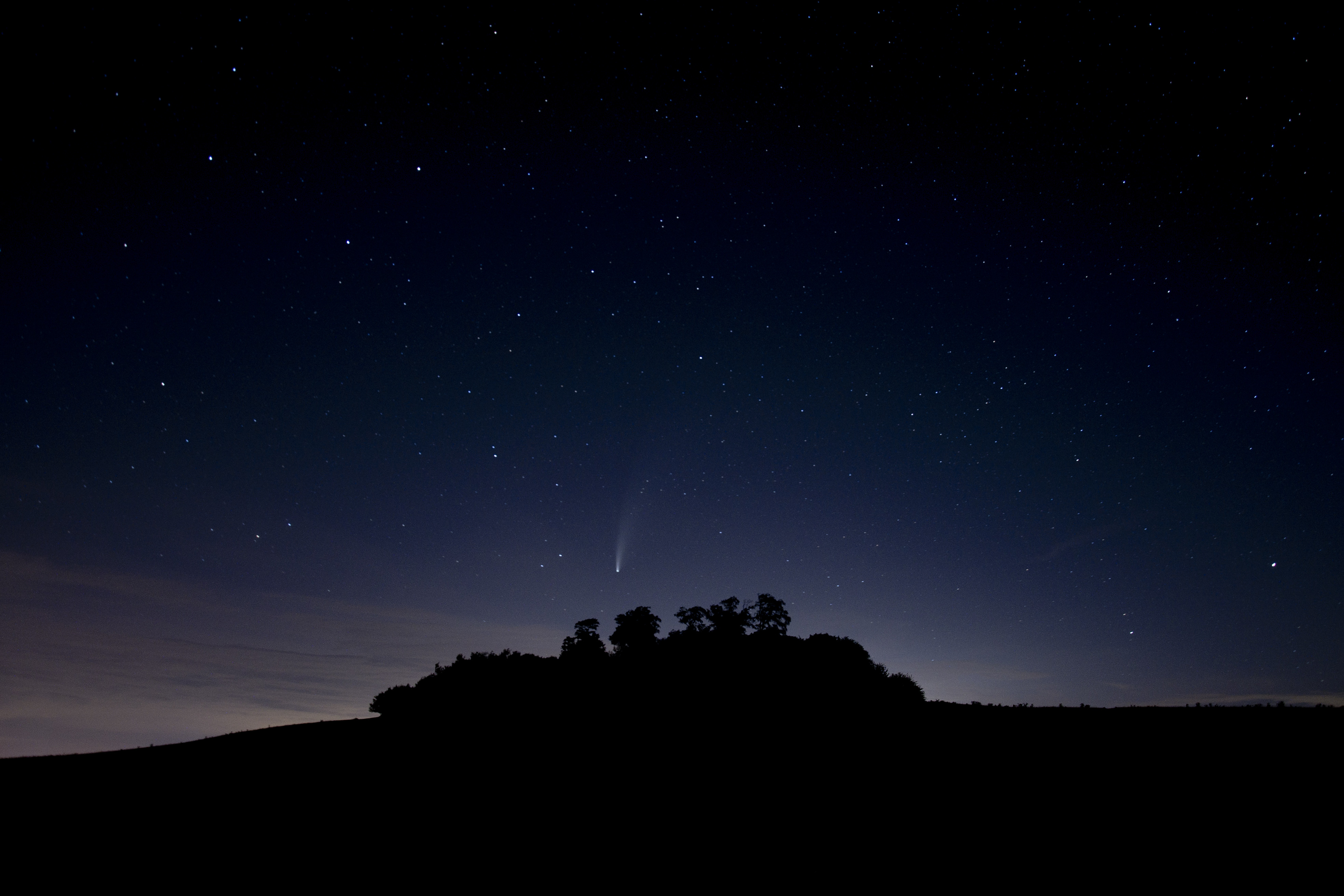 silhouette, starry sky, trees, stars, night, dark 4K