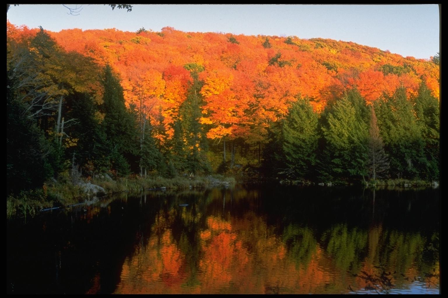 Скачать картинку Деревья, Пейзаж, Озера, Осень в телефон бесплатно.