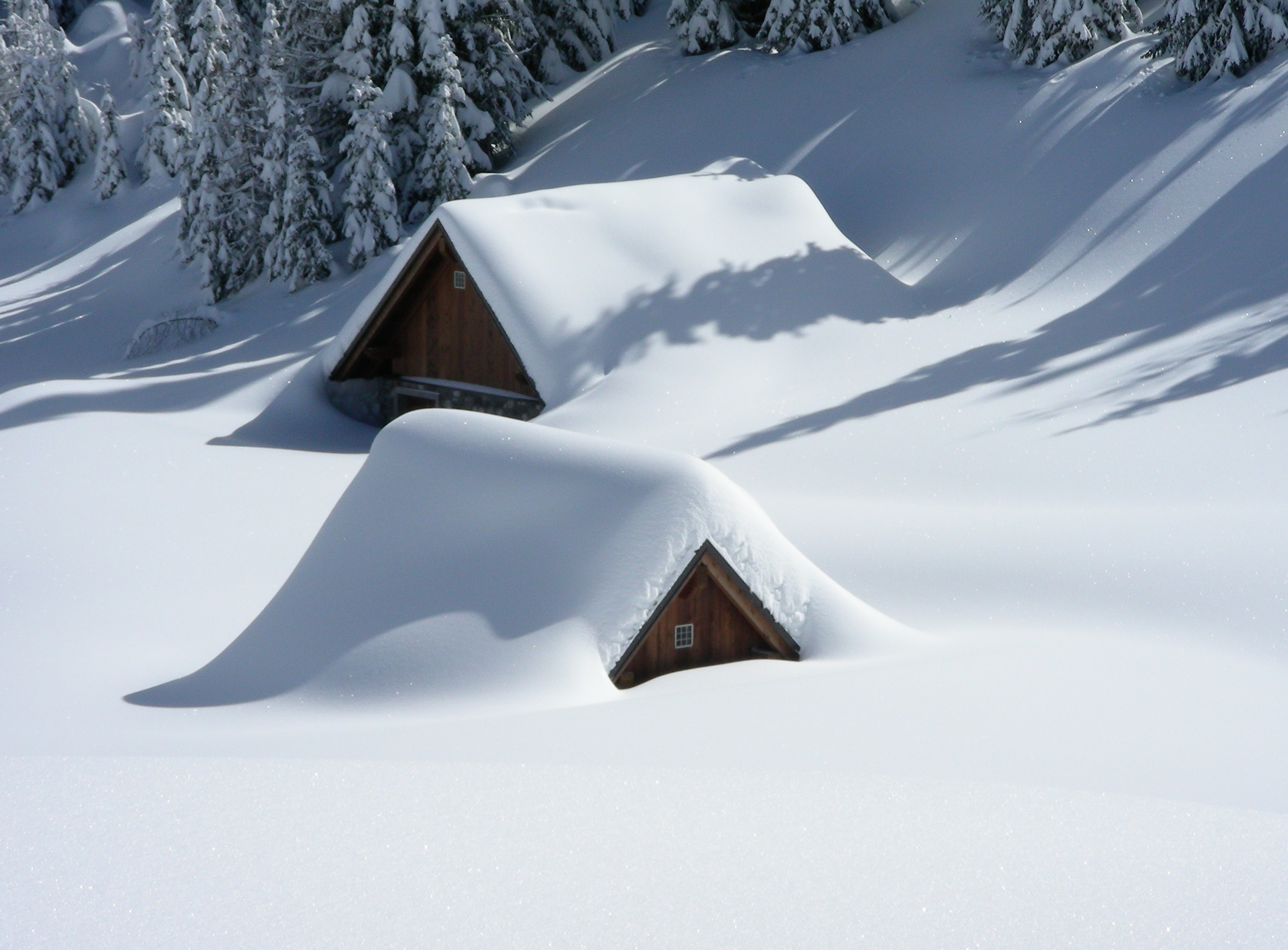Handy-Wallpaper Höhe, Elevation, Schnee, Bäume, Natur, Gebäude kostenlos herunterladen.