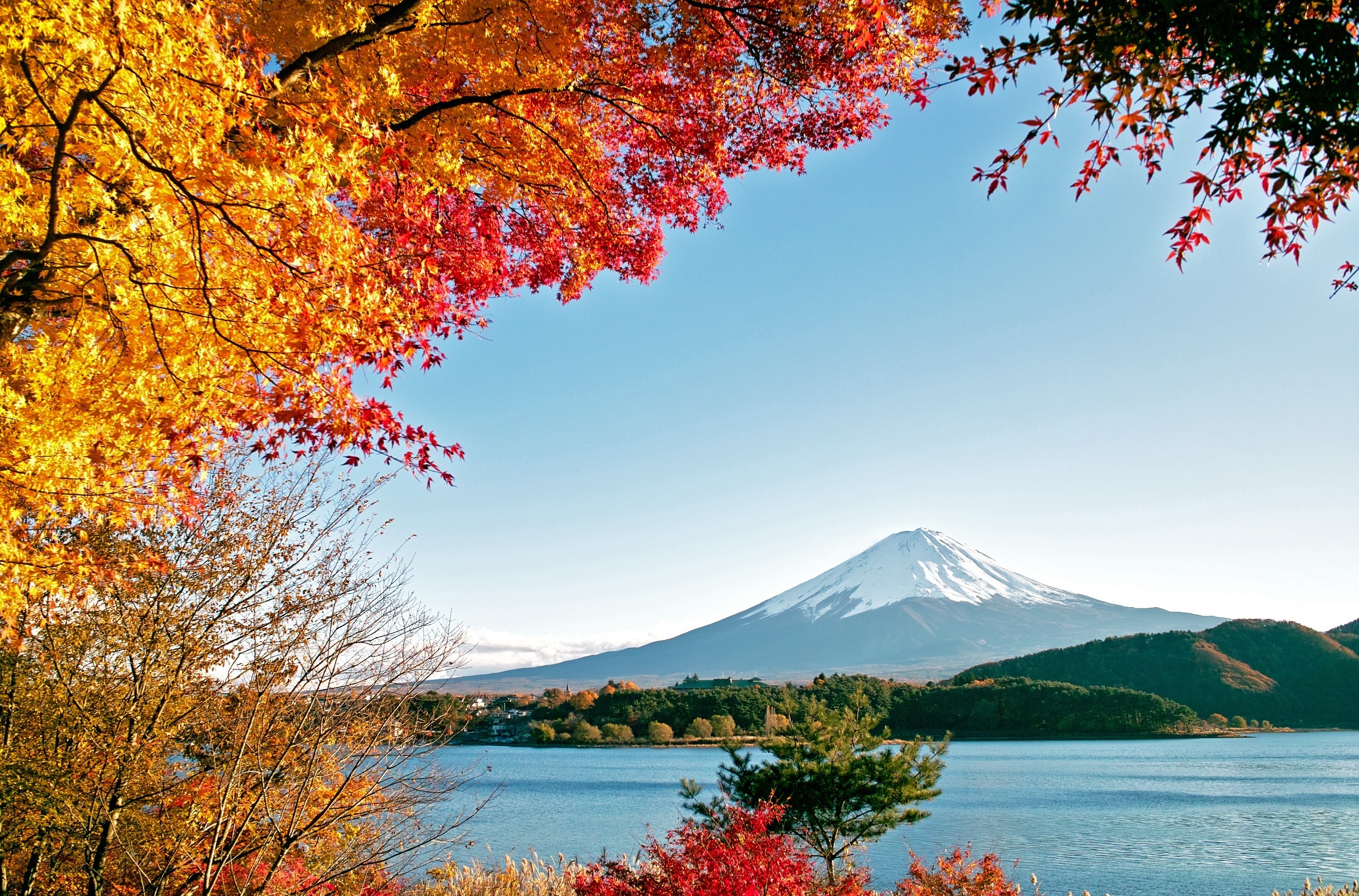 343175 скачать обои гора фудзи, осень, япония, земля/природа, цвета, фудзияма, листва, вулканы - заставки и картинки бесплатно