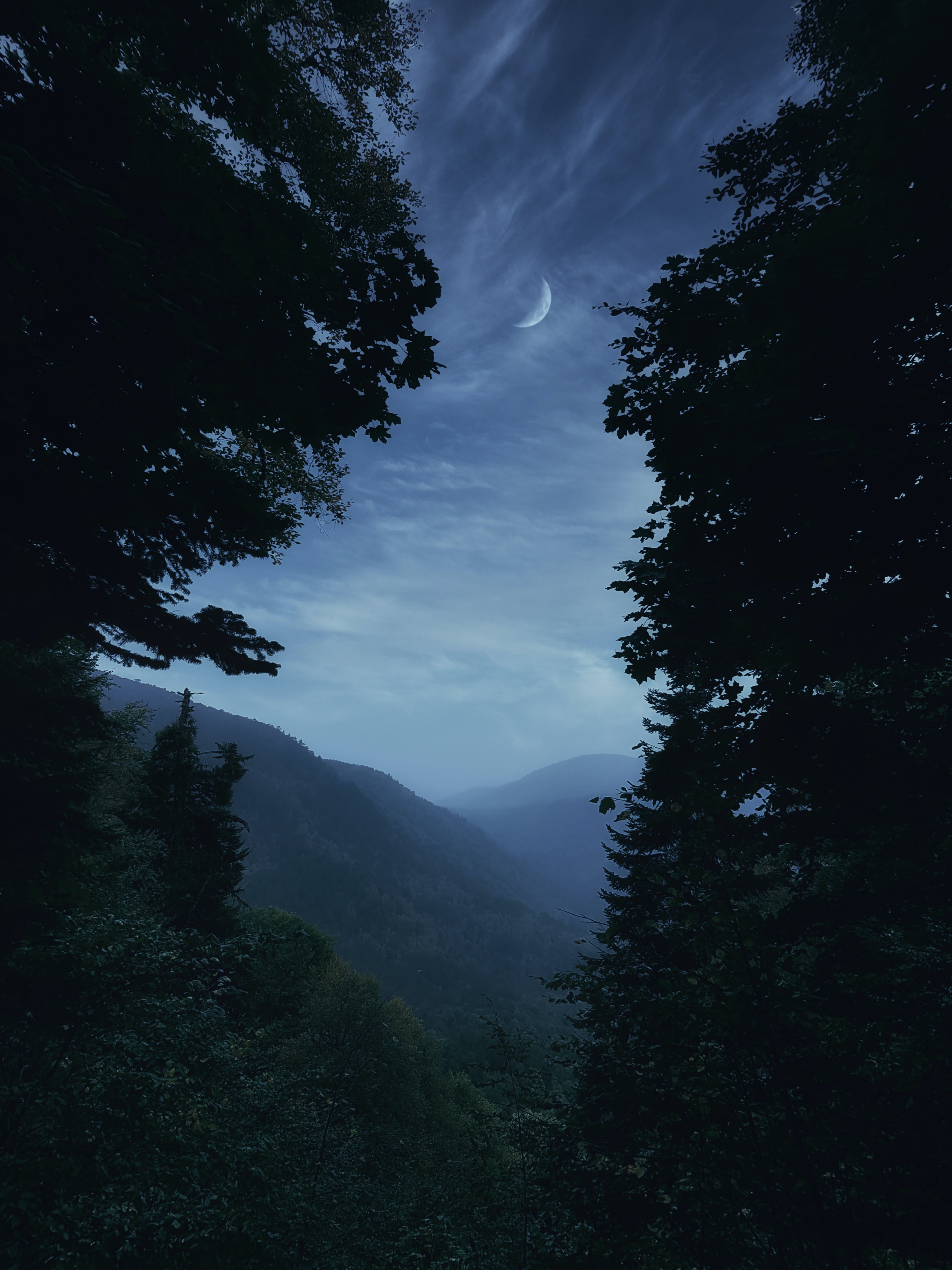 moon, fog, trees, landscape, nature, mountains, twilight, dusk Full HD
