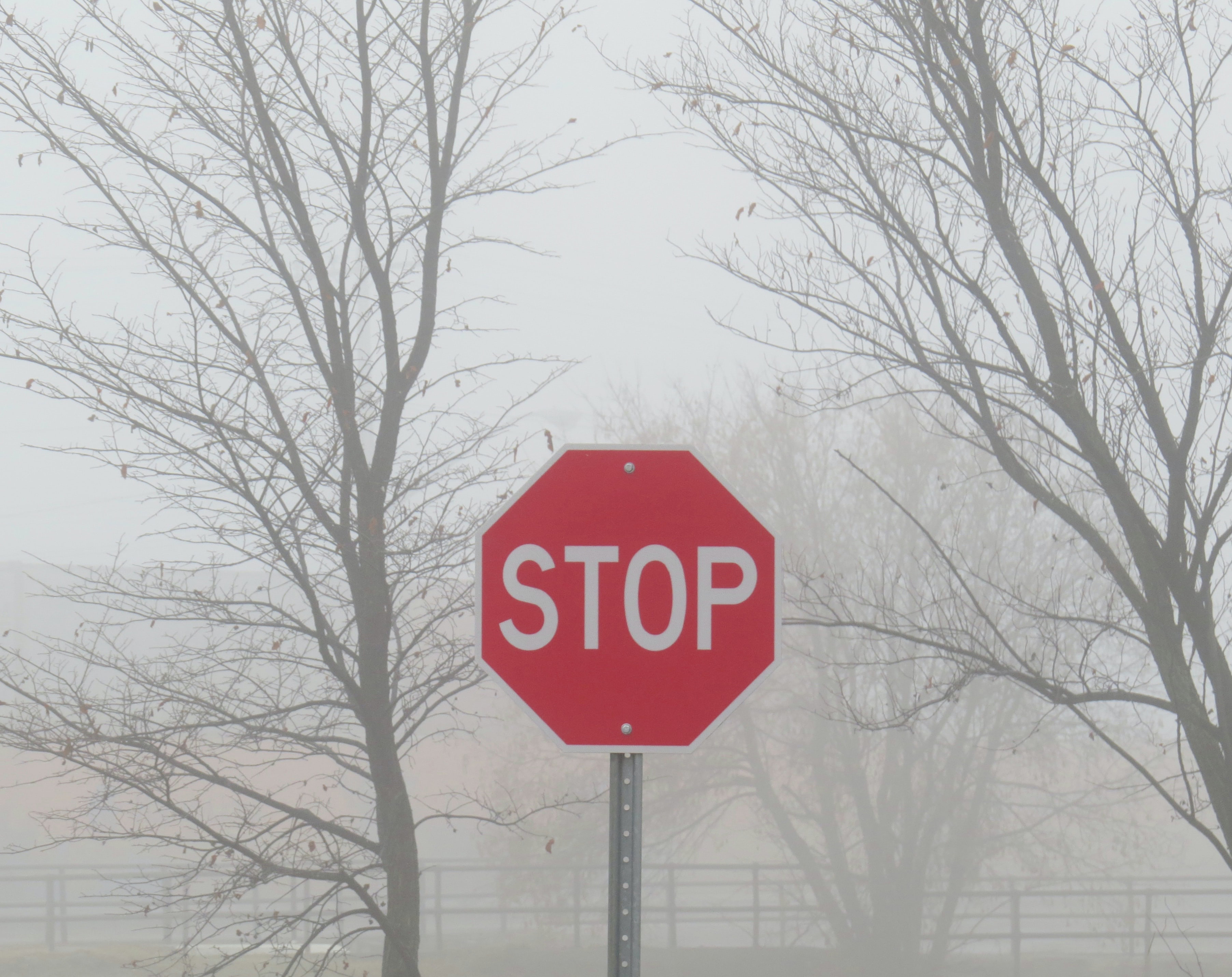 words, fog, inscription, text, sign, stop