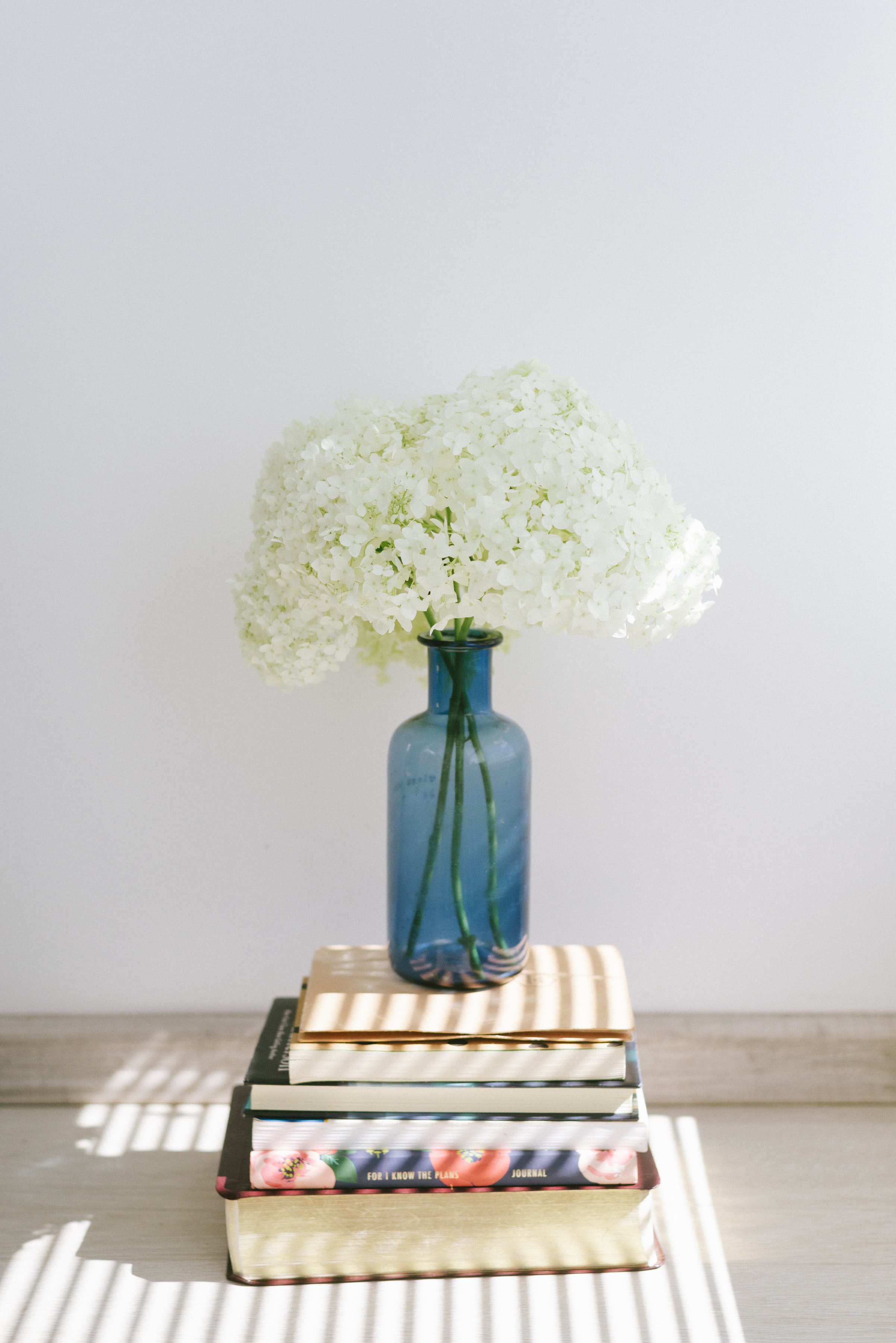 books, hydrangea, flowers, vase Aesthetic wallpaper