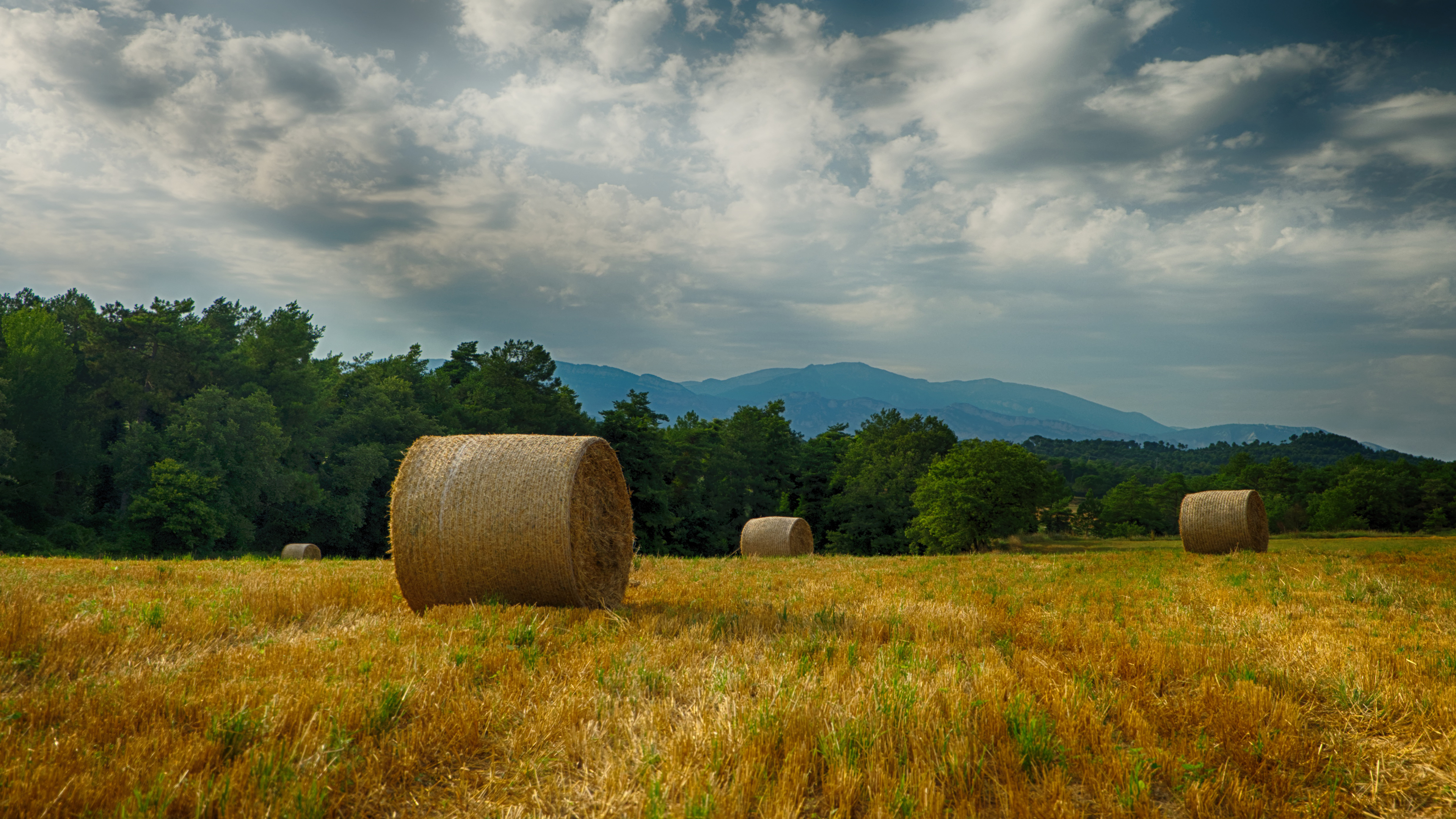 harvest, earth, haystack, field HD wallpaper