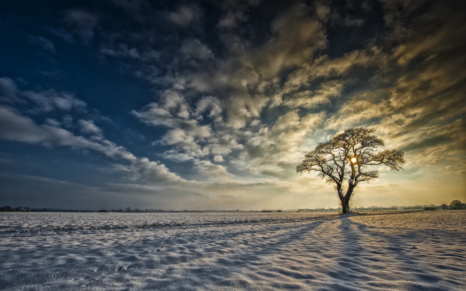 Частый ветер. Одинокое дерево зимой. The Winter Tree – Earth below. Winter Britain.