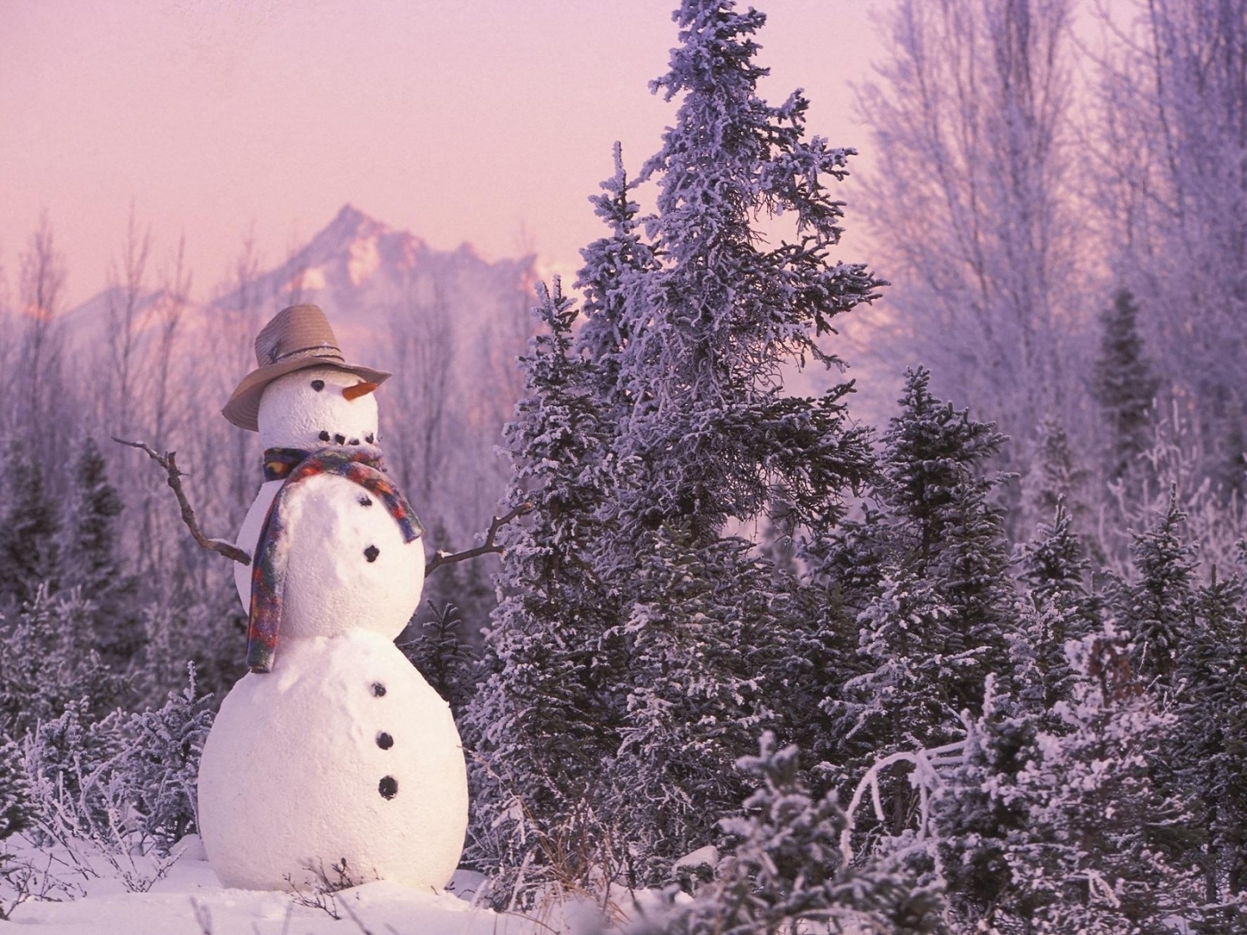 49644 скачать обои снеговики, пейзаж, природа, красные - заставки и картинки бесплатно