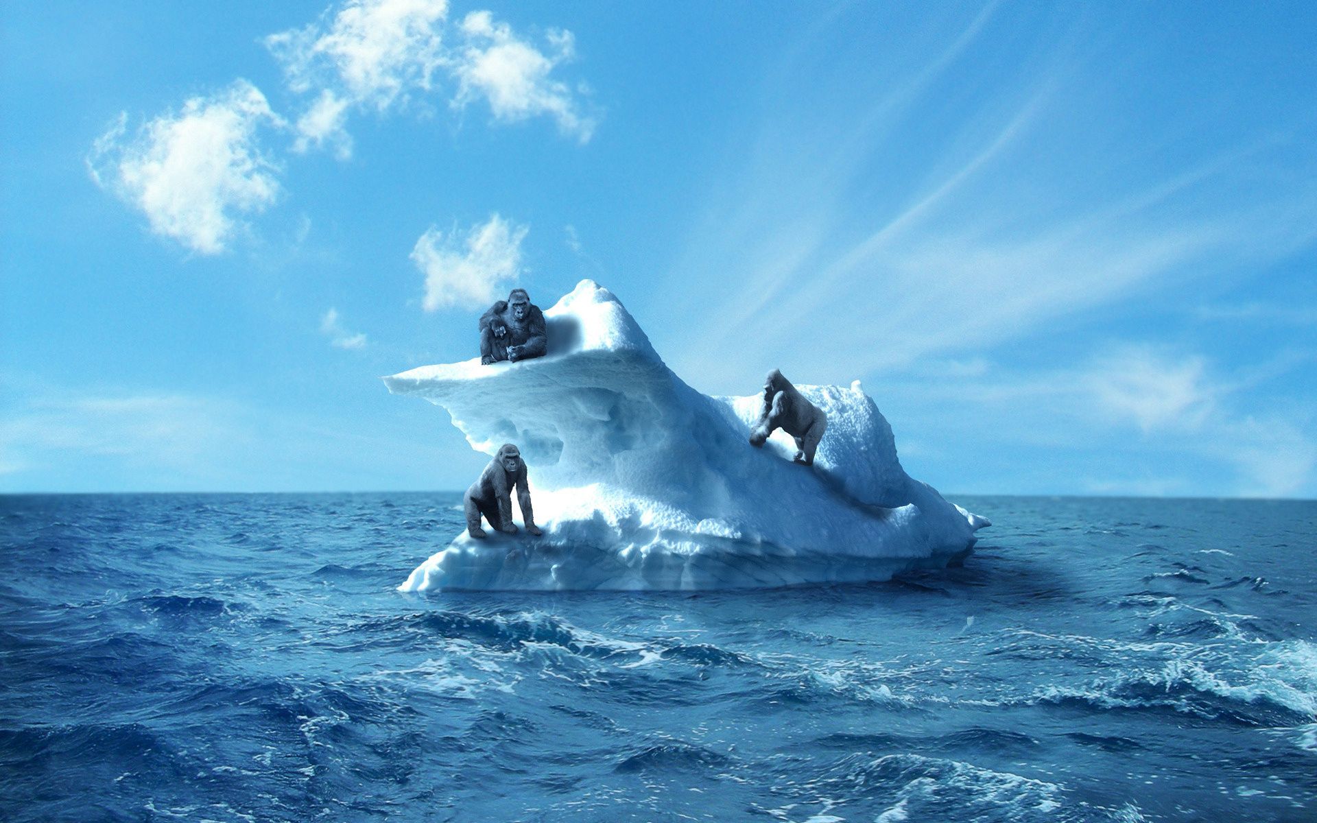 Download mobile wallpaper Animals, Sky, Sea, Iceberg, Gorilla for free.