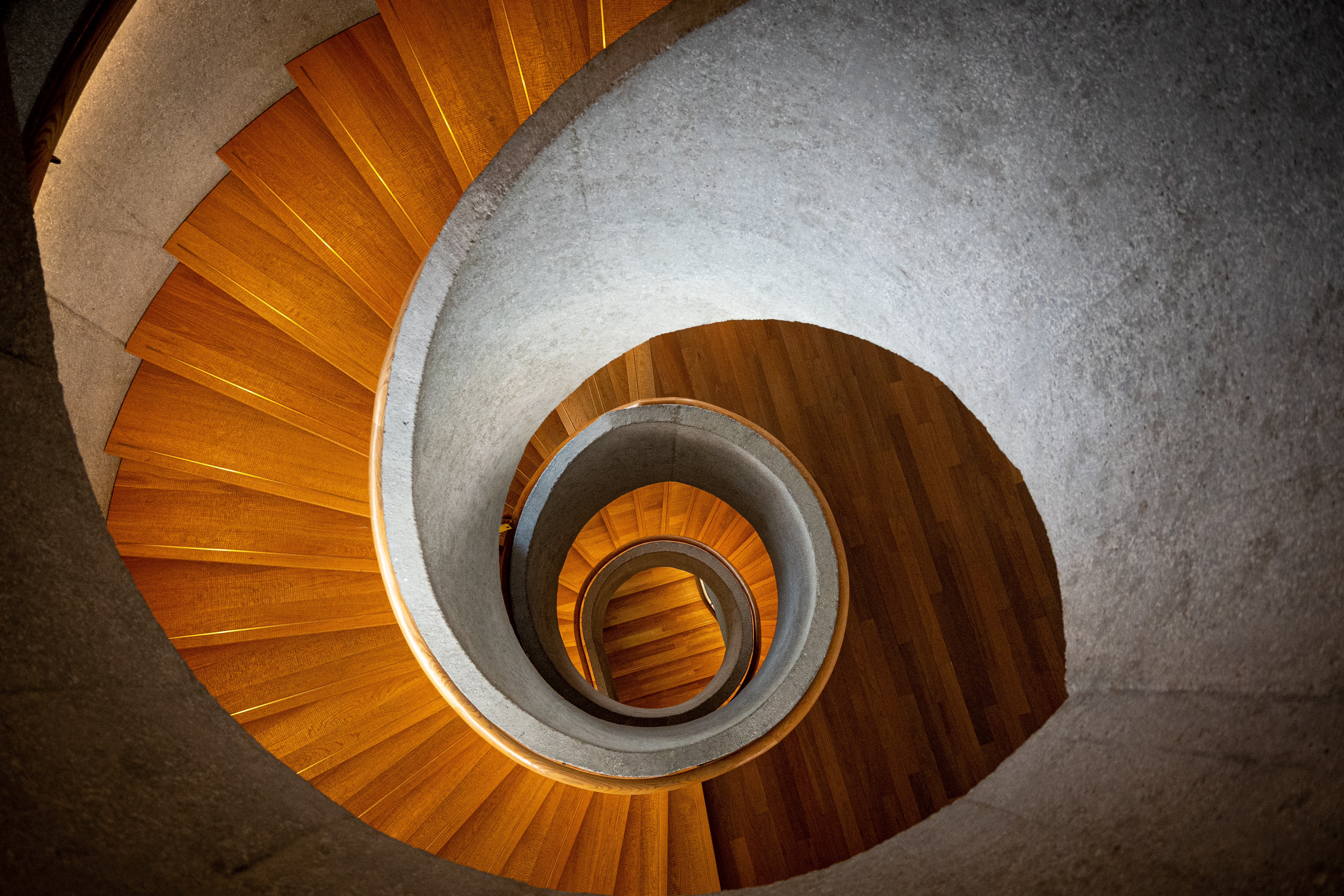 miscellanea, miscellaneous, ladder, stairs, spiral, twisting, torsion download HD wallpaper